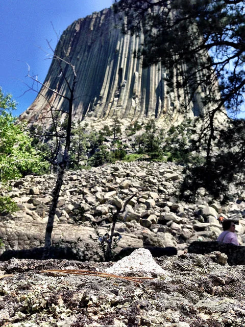 THE PLACES I'VE LEFT CHRIS