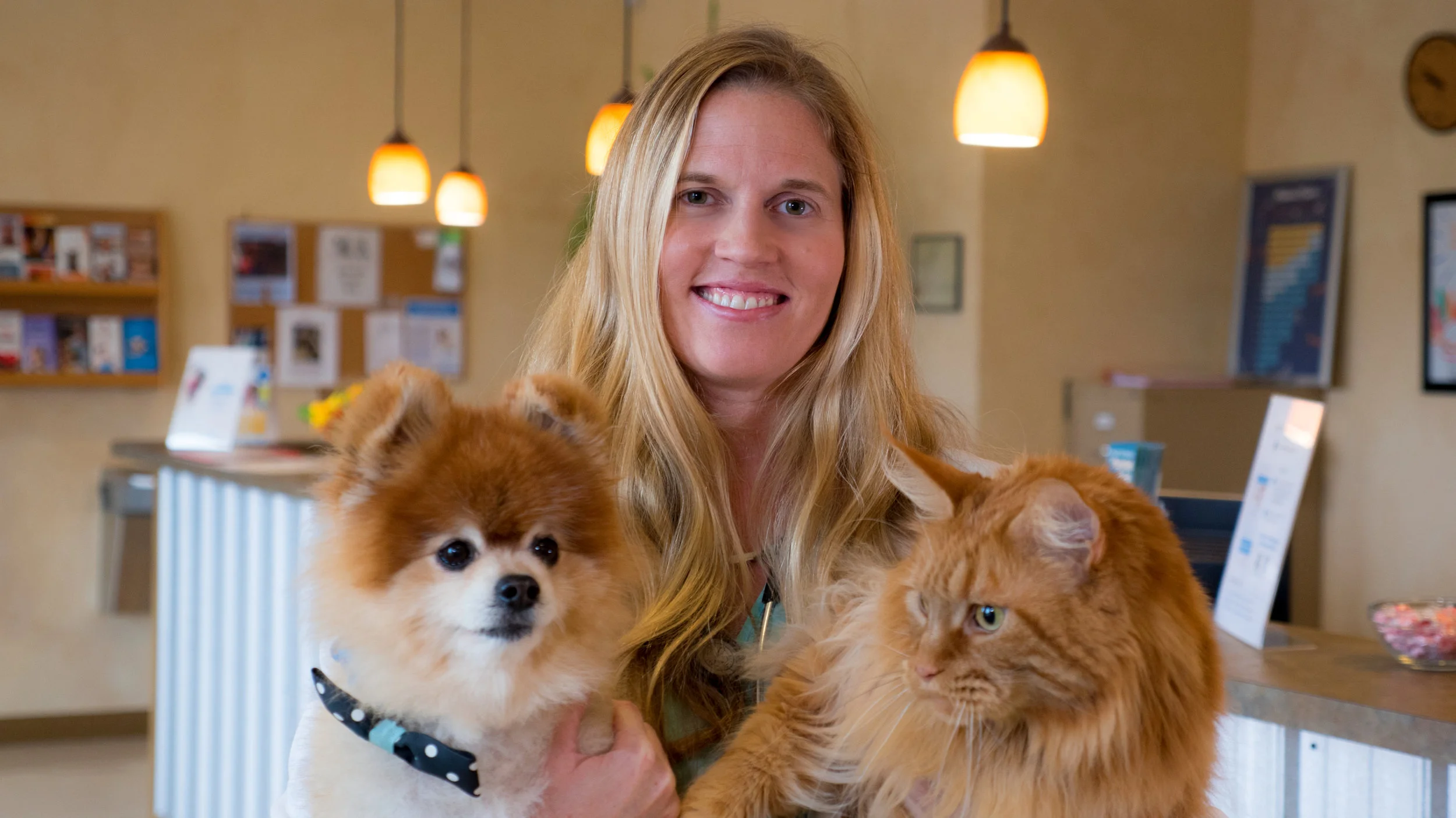 Veterinary office promotional photo