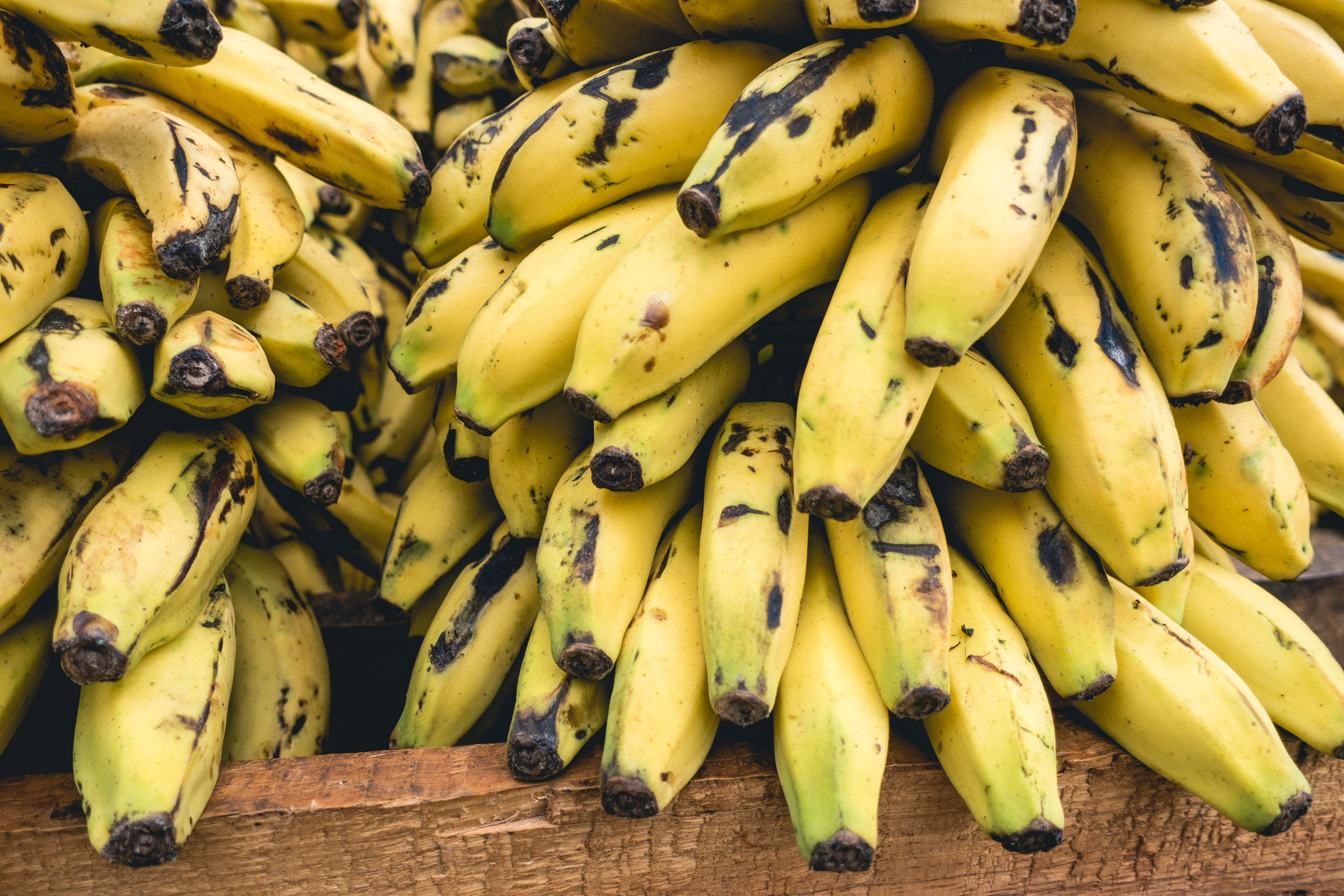 10 THINGS TO BUY AT ALDI — melissa voigt