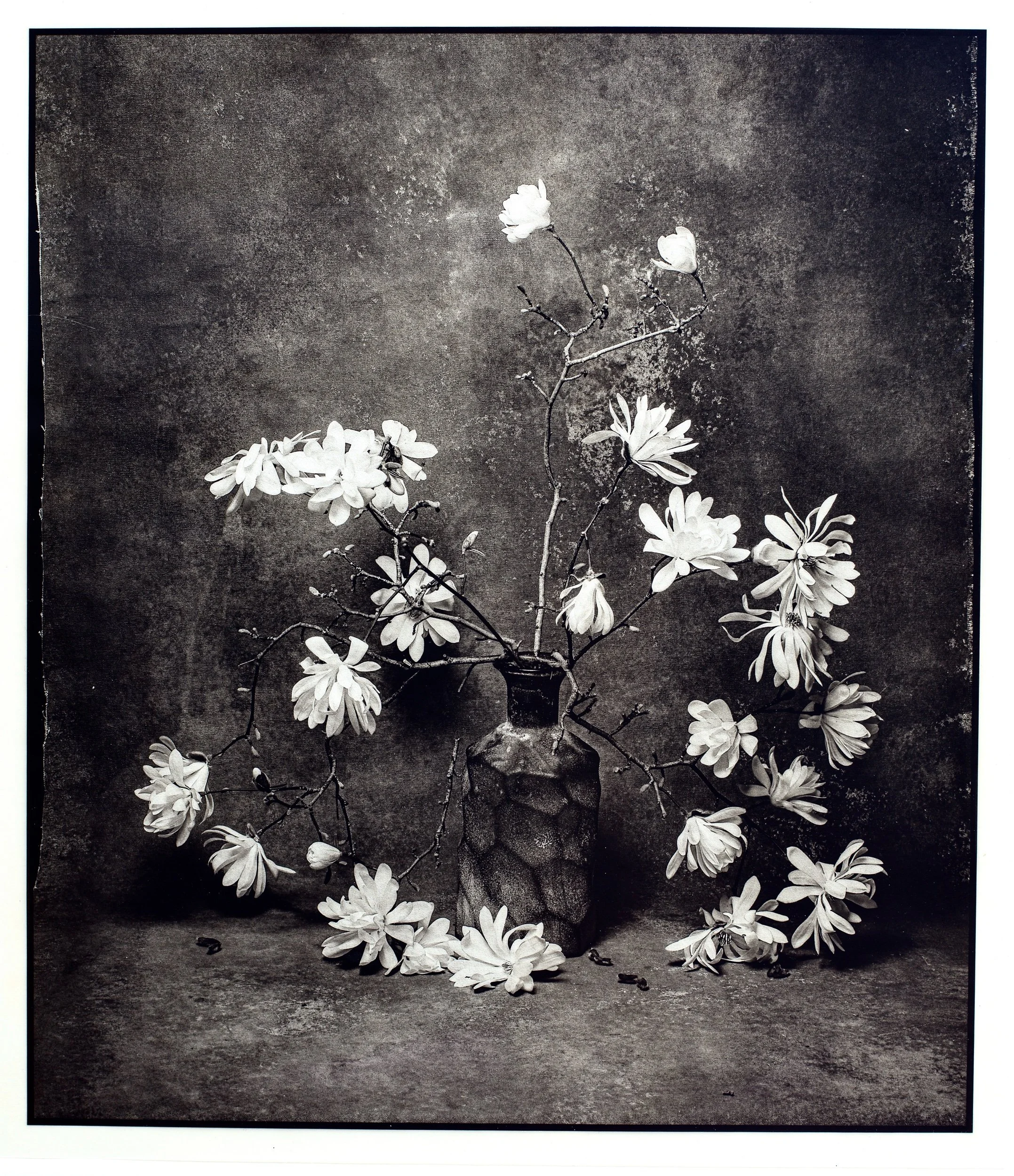 still-life repros-07.jpeg