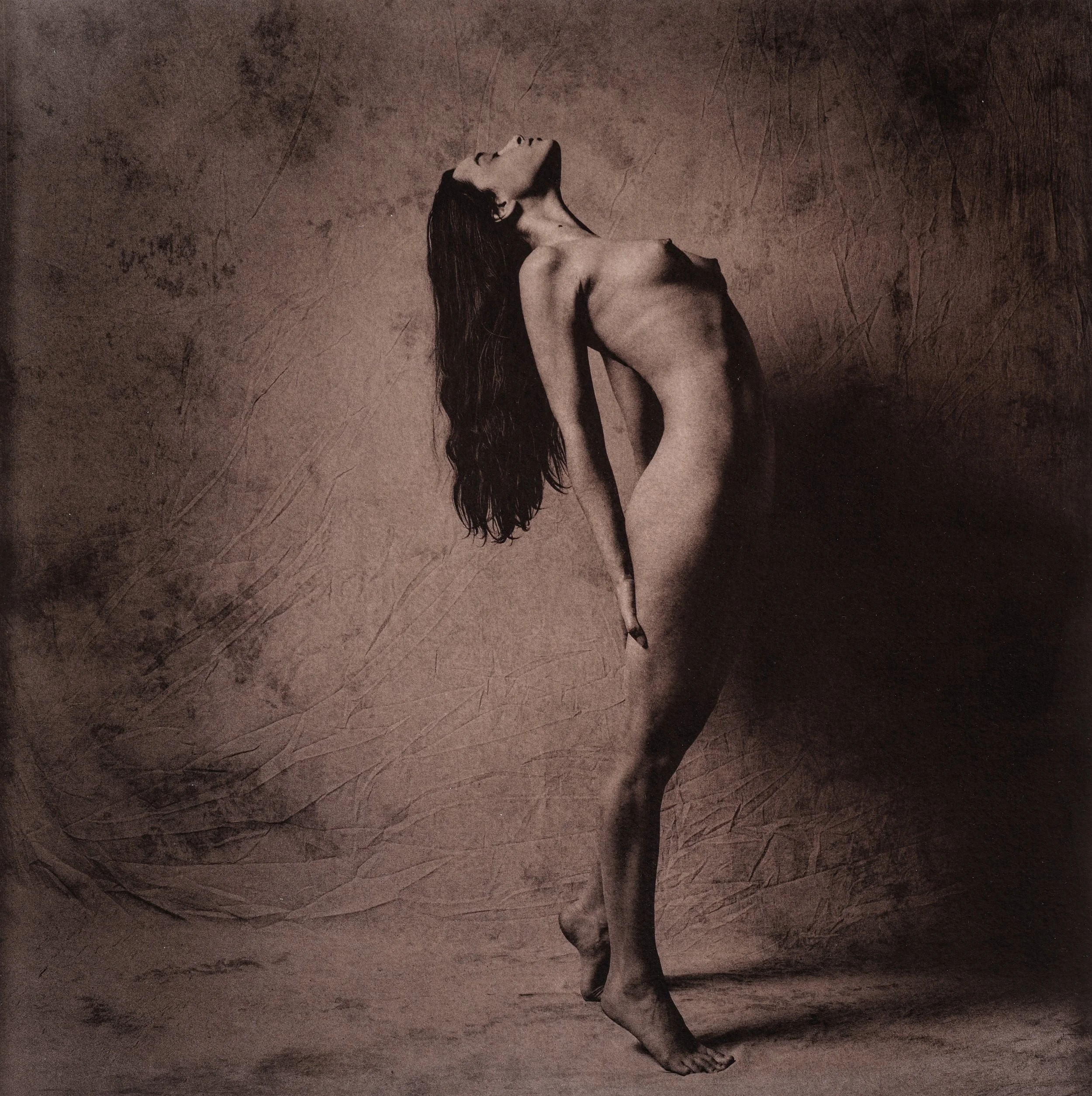 Jan C Schlegel  - SHALIMAR Plate-23.jpg