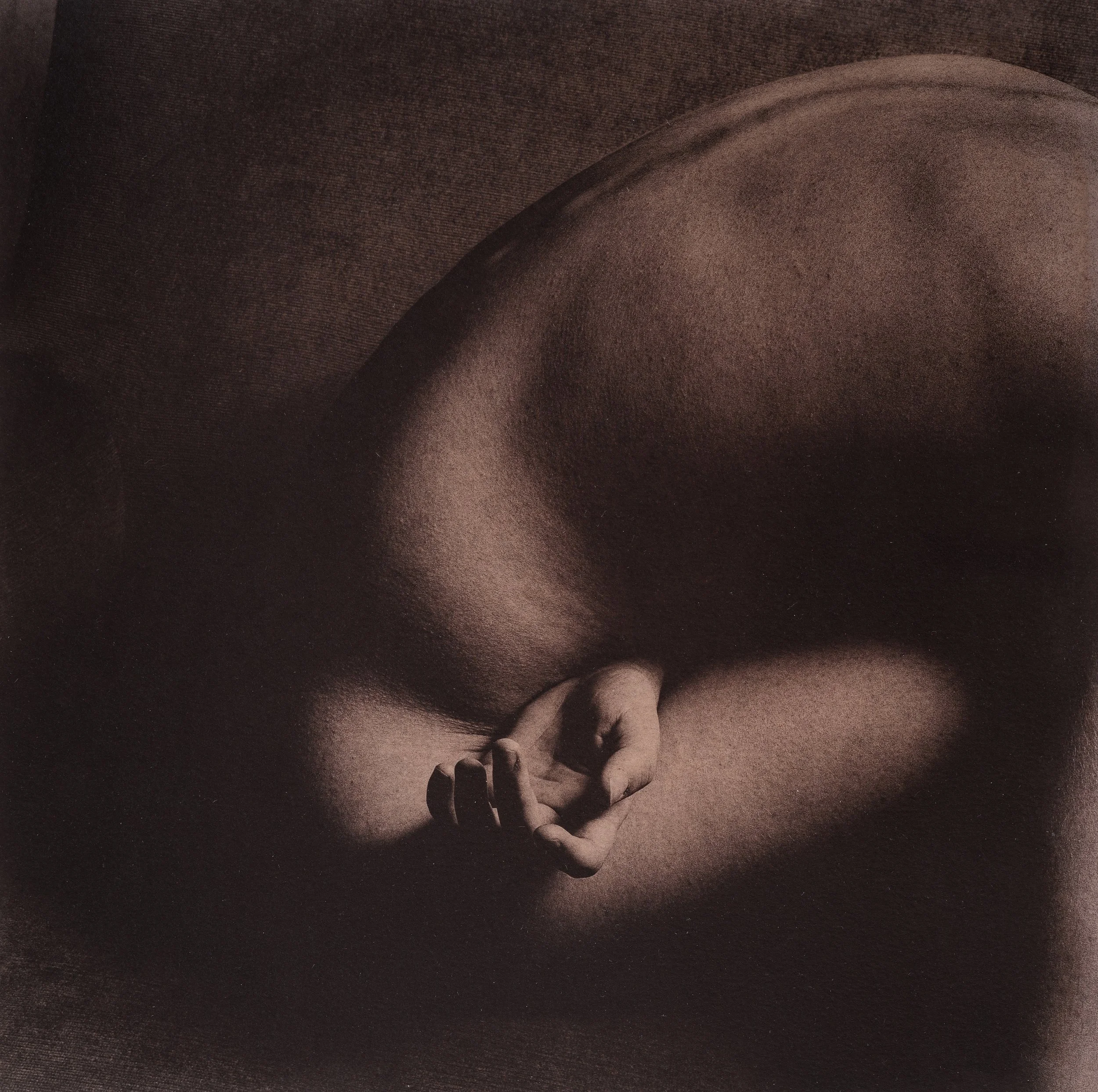 Jan C Schlegel  - SHALIMAR Plate-20.jpg