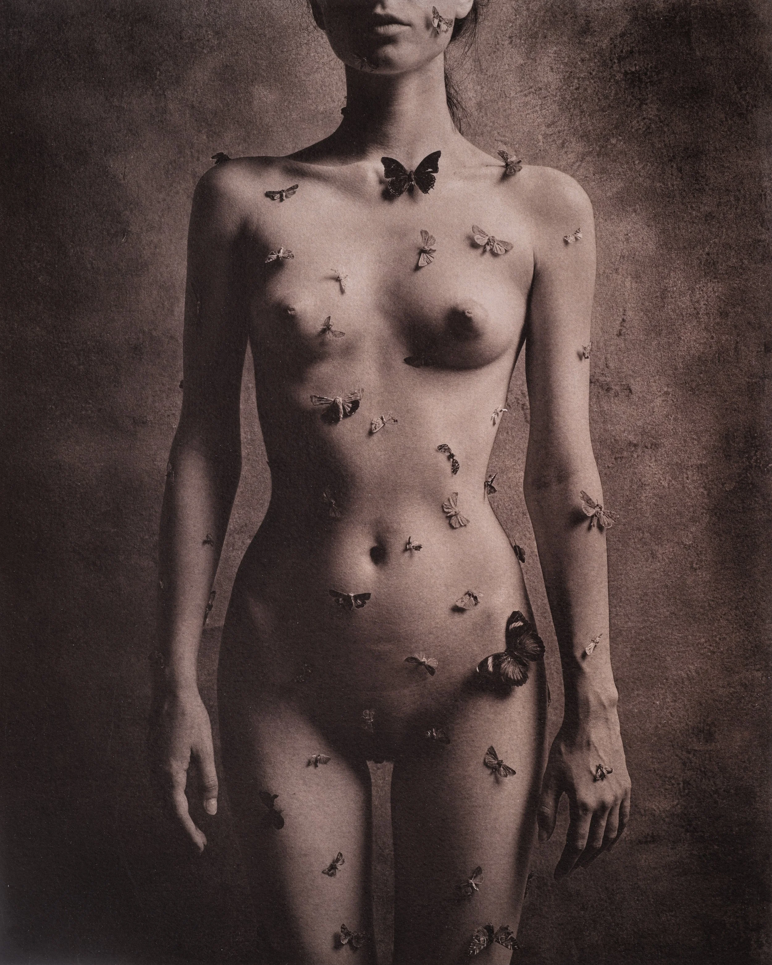 Jan C Schlegel  - SHALIMAR Plate-14.jpg