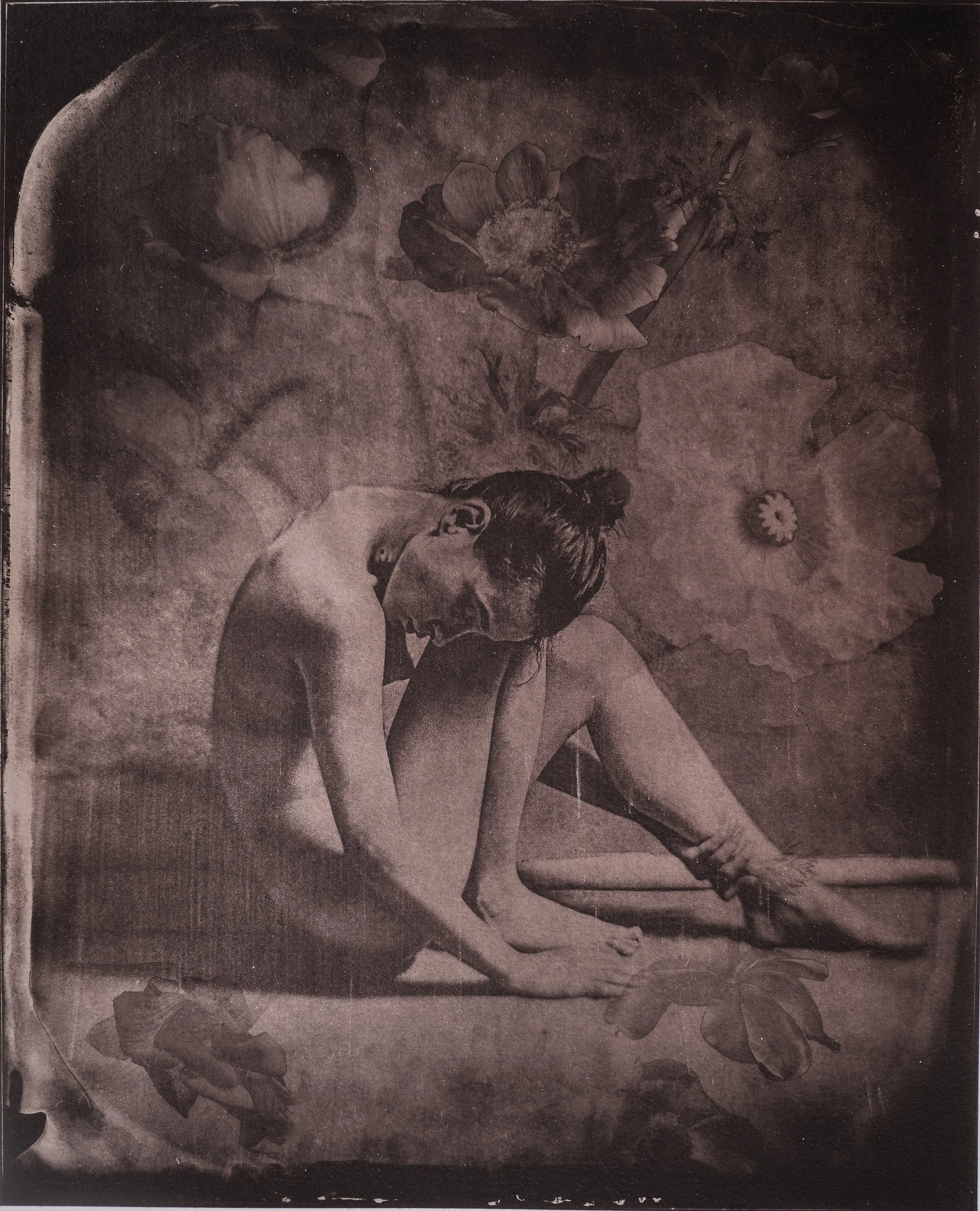 Jan C Schlegel  - SHALIMAR Plate-13.jpg