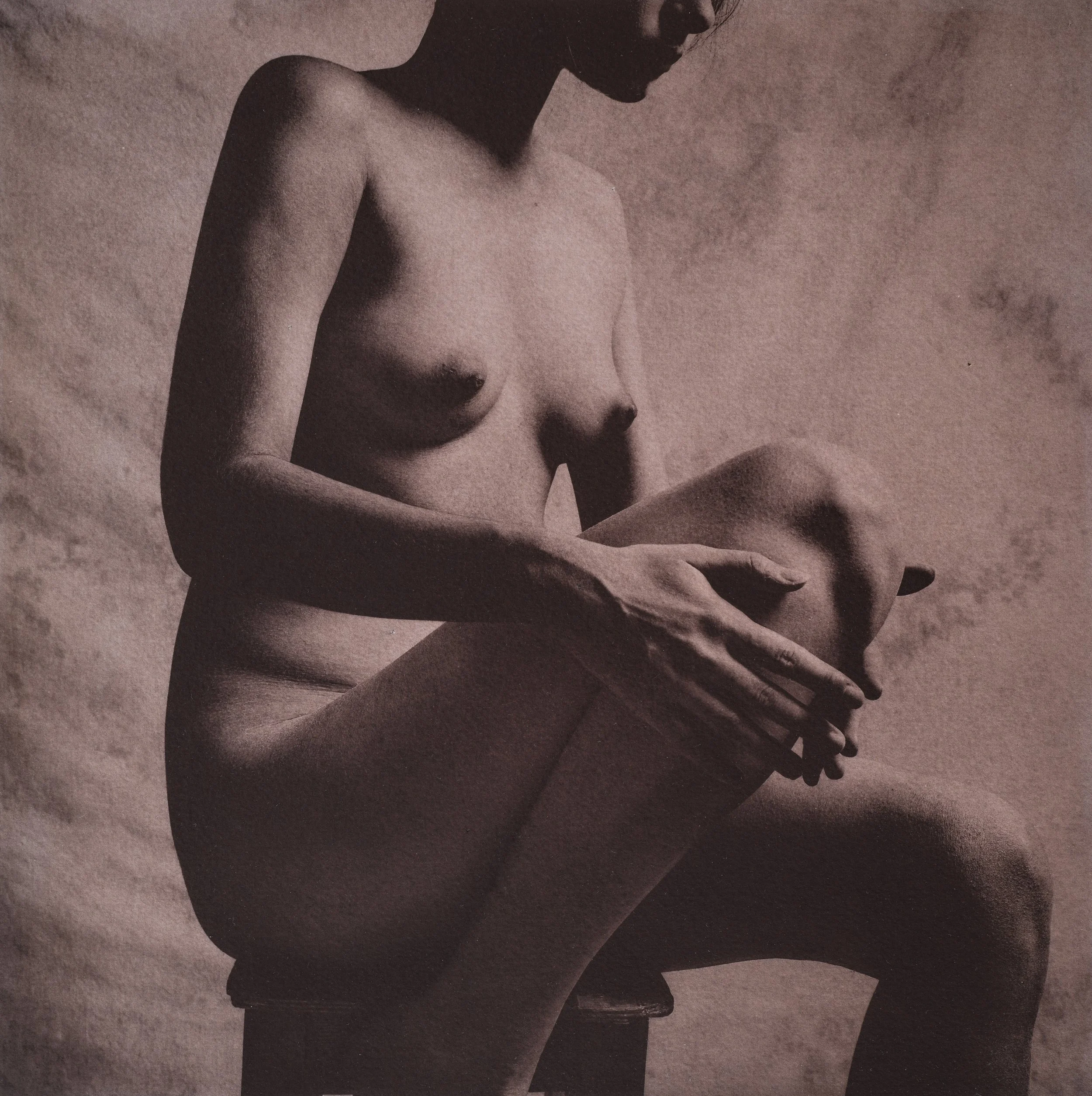 Jan C Schlegel  - SHALIMAR Plate-10.jpg