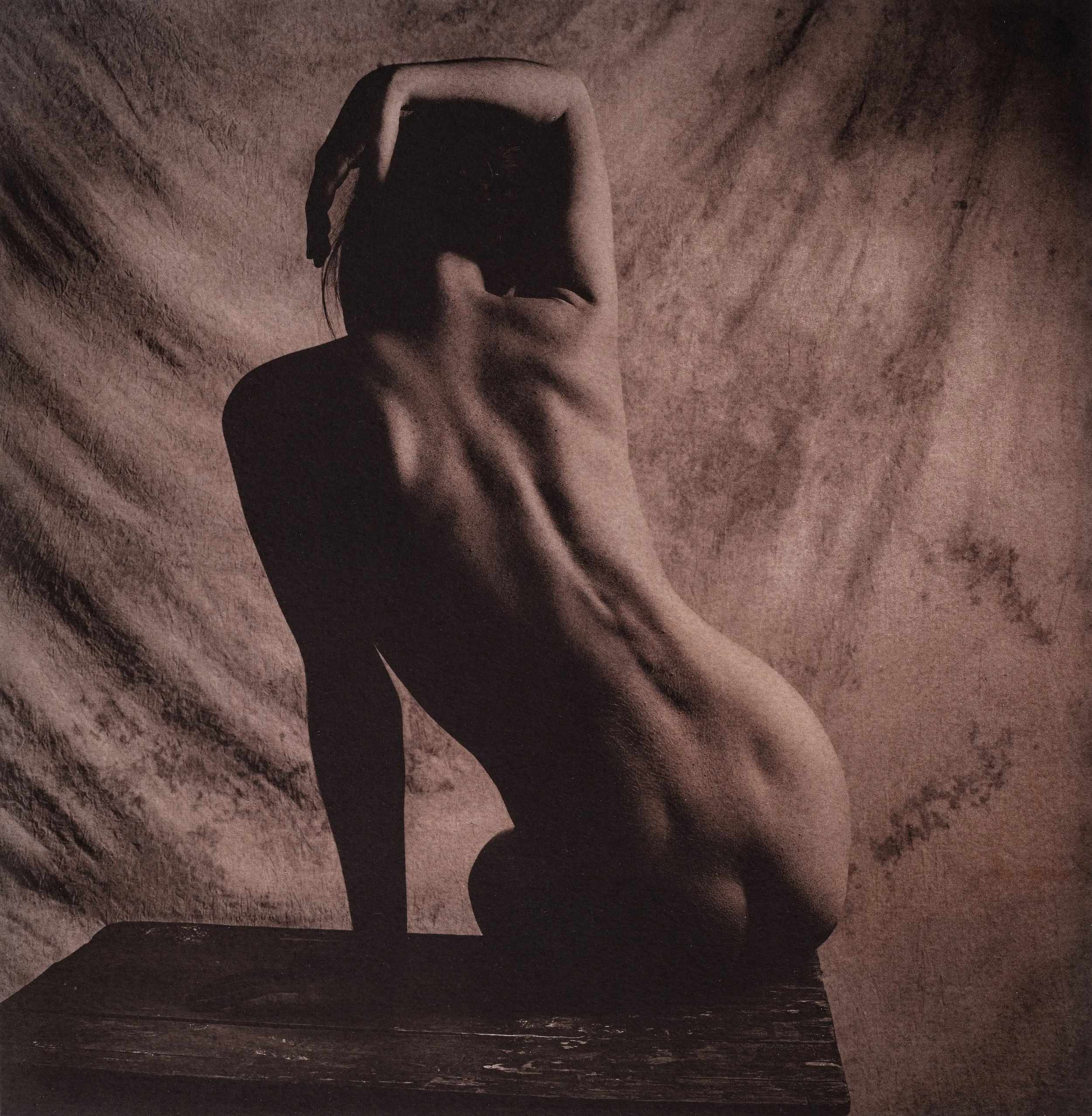 Jan C Schlegel  - SHALIMAR Plate-11.jpg