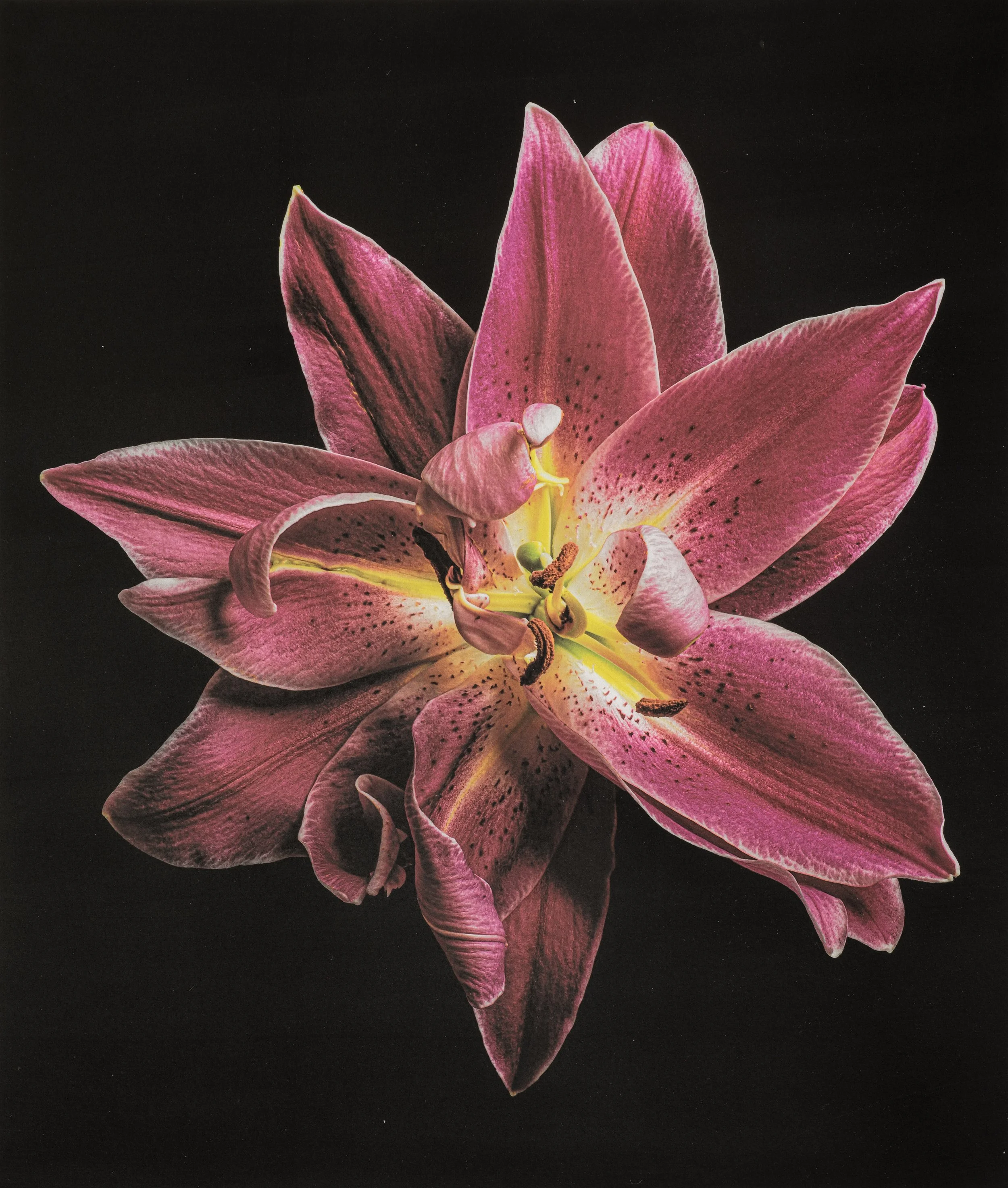 Jan C Schlegel  - Color works -08.jpg