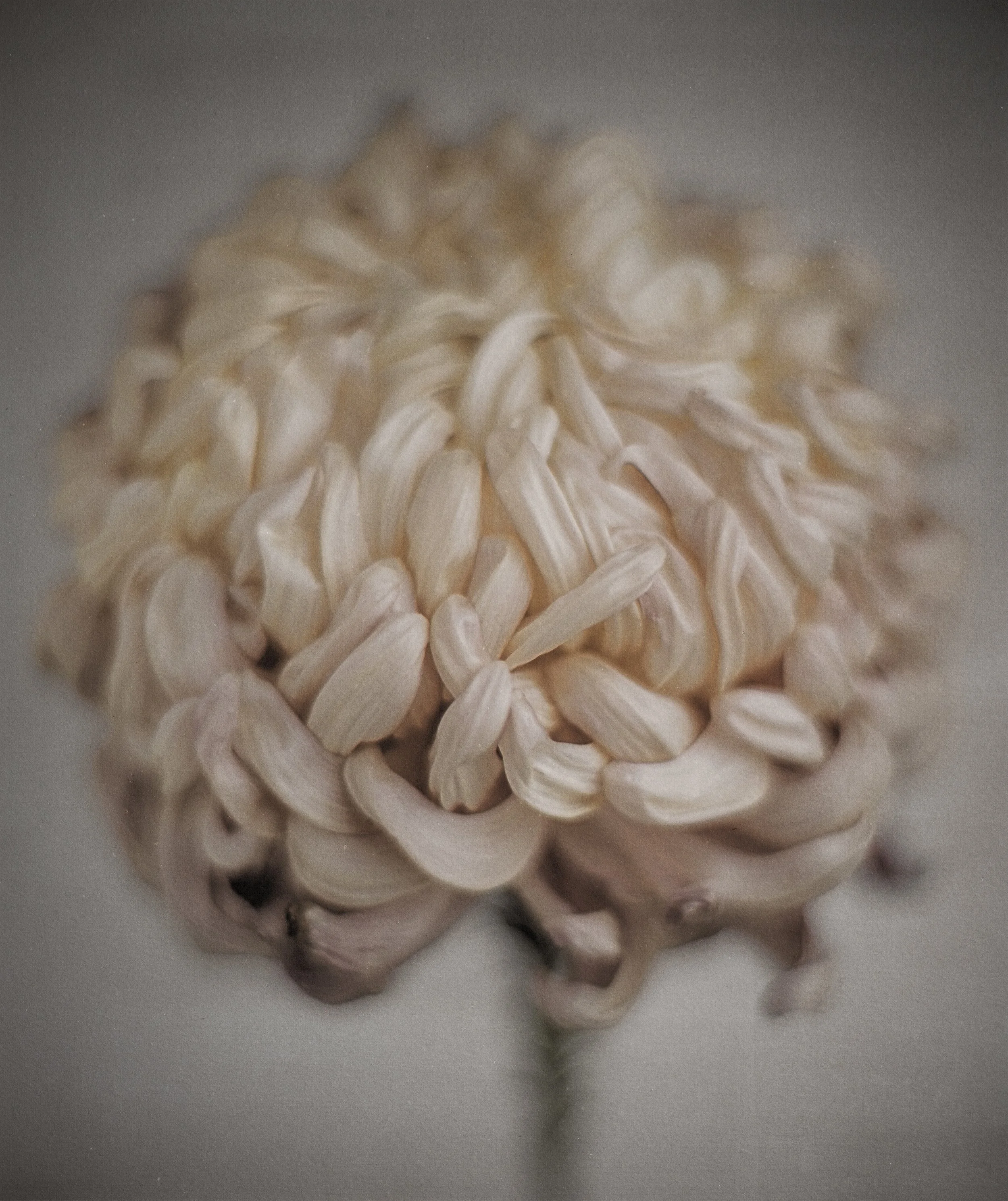 Jan C Schlegel  - Color works -06.jpg