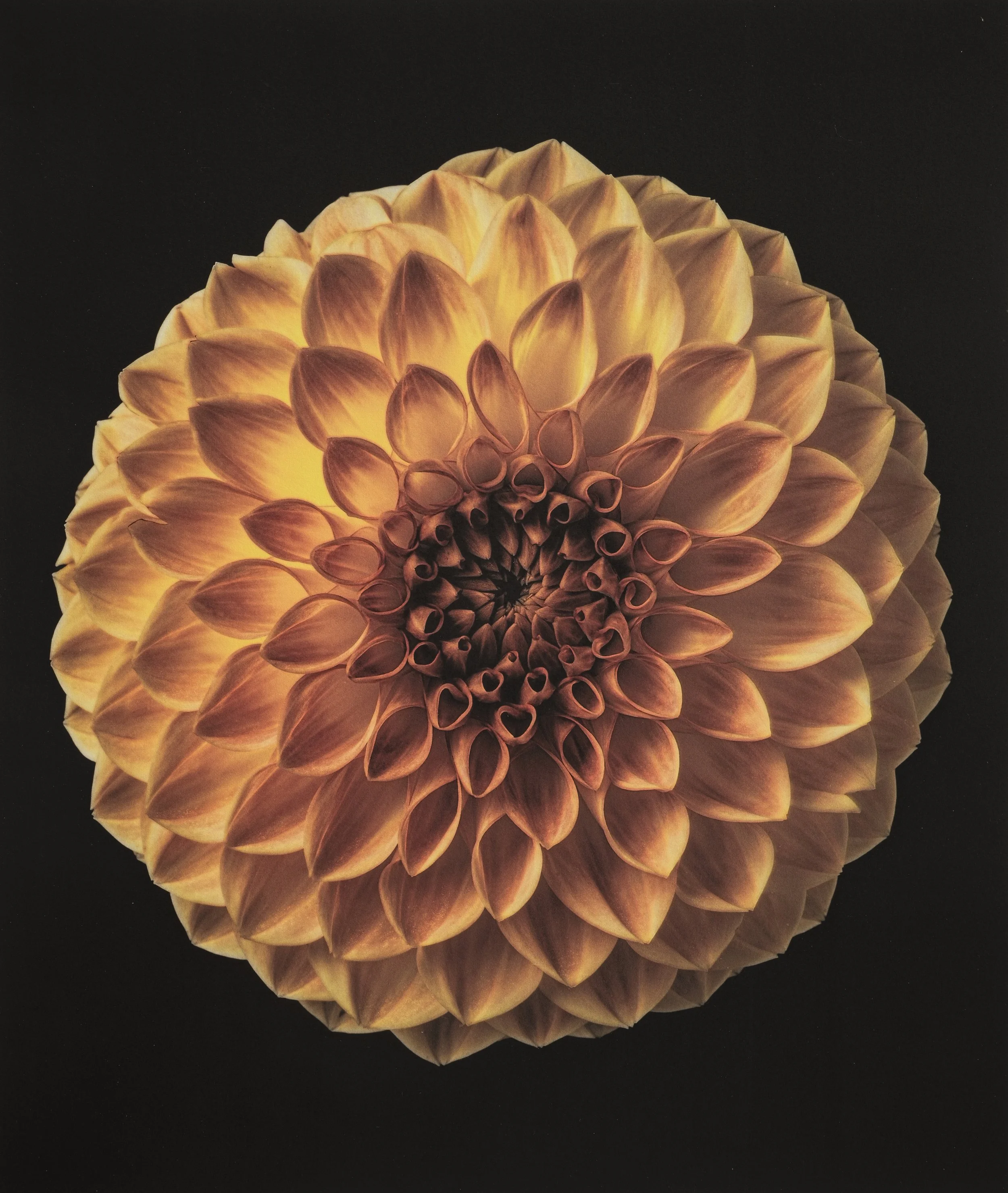 Jan C Schlegel  - Color works -09.jpg