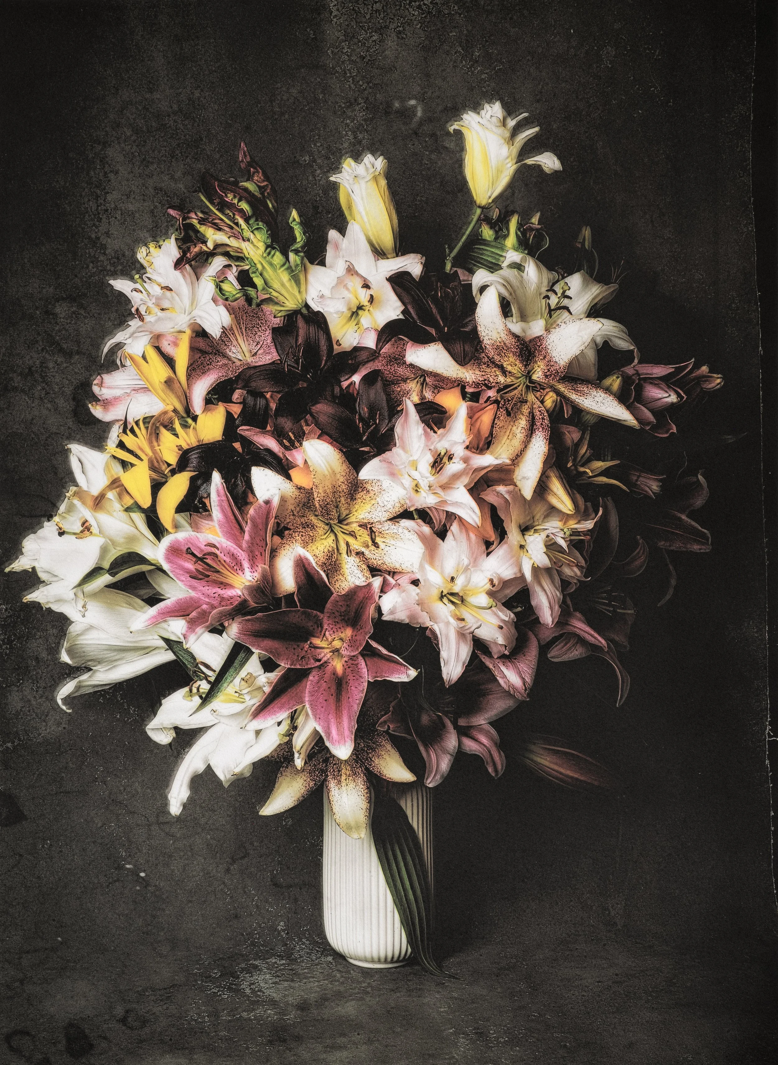 Jan C Schlegel  - Color works -01.jpg