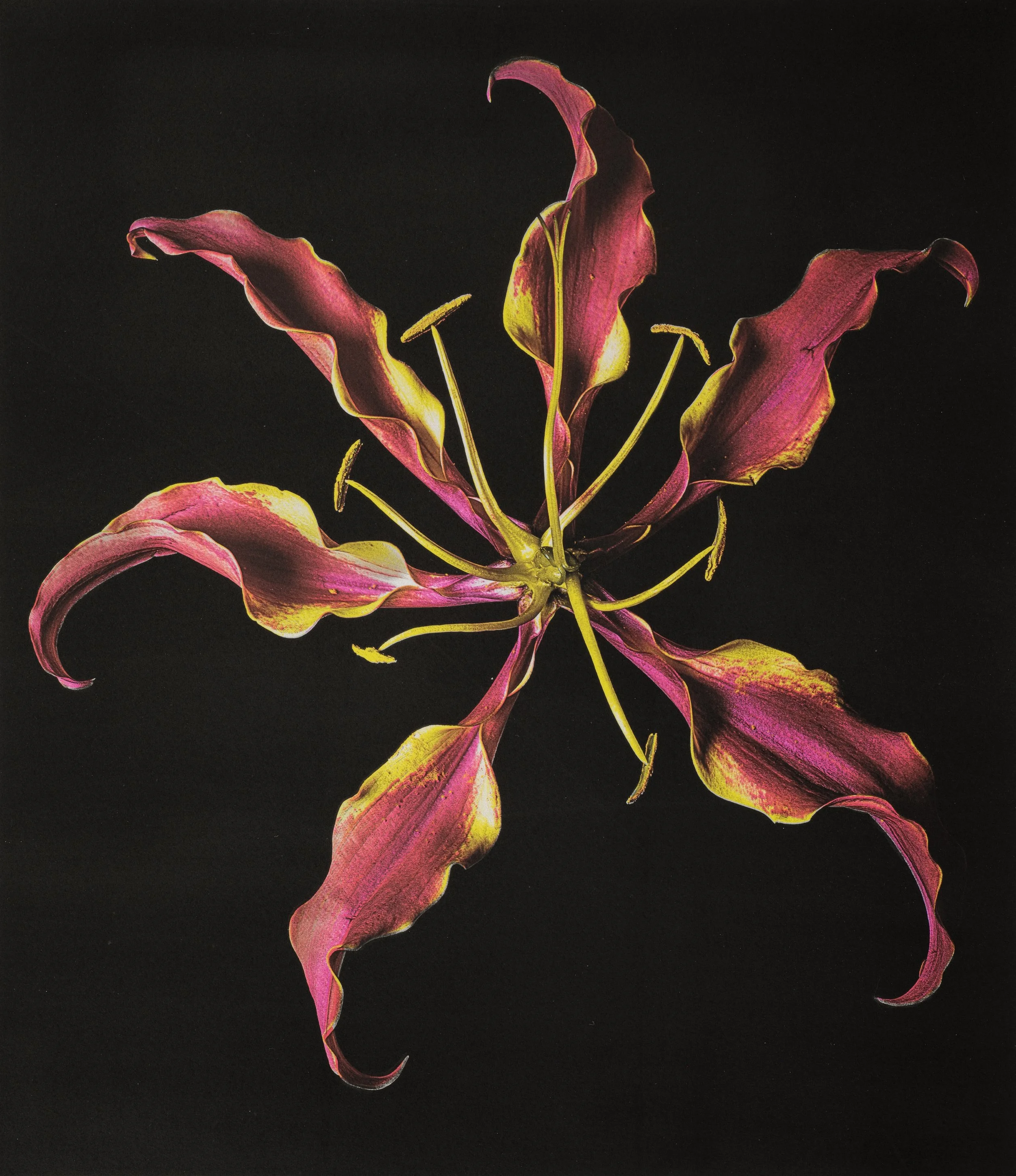 Jan C Schlegel  - Color works -07.jpg