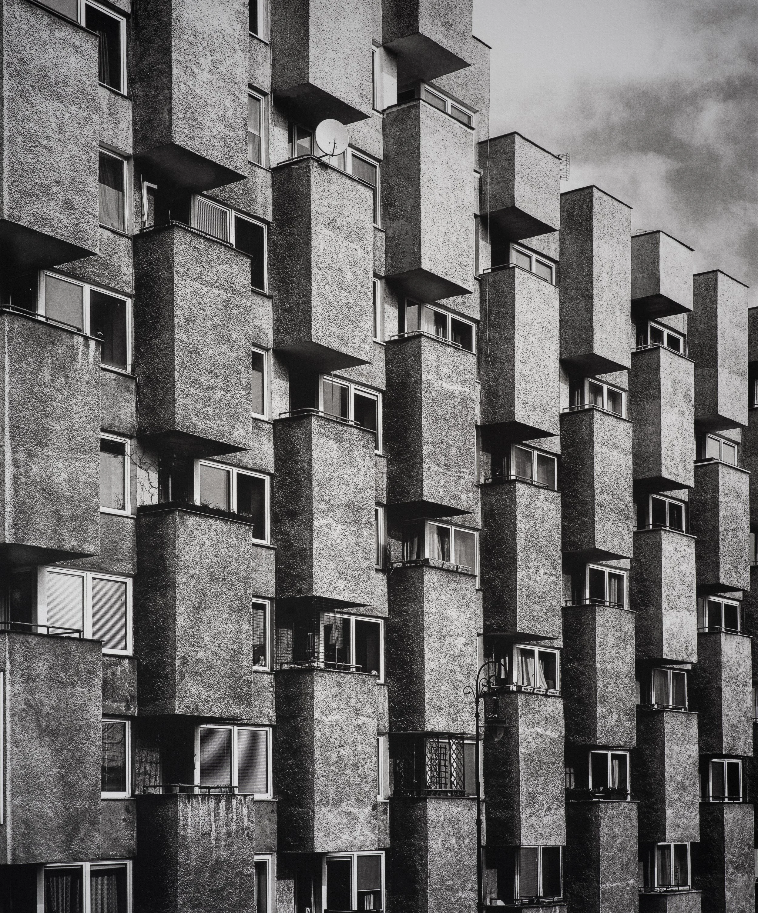 Jan C Schlegel  - Silent Giants-03.jpg