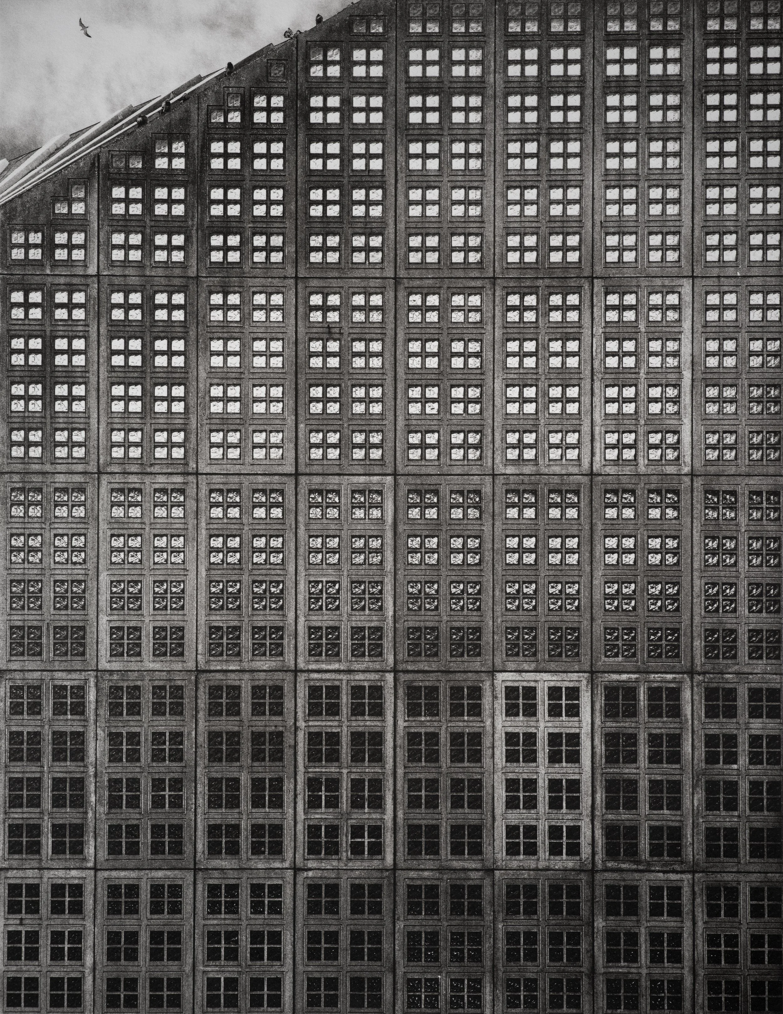 Jan C Schlegel  - Silent Giants-11.jpg