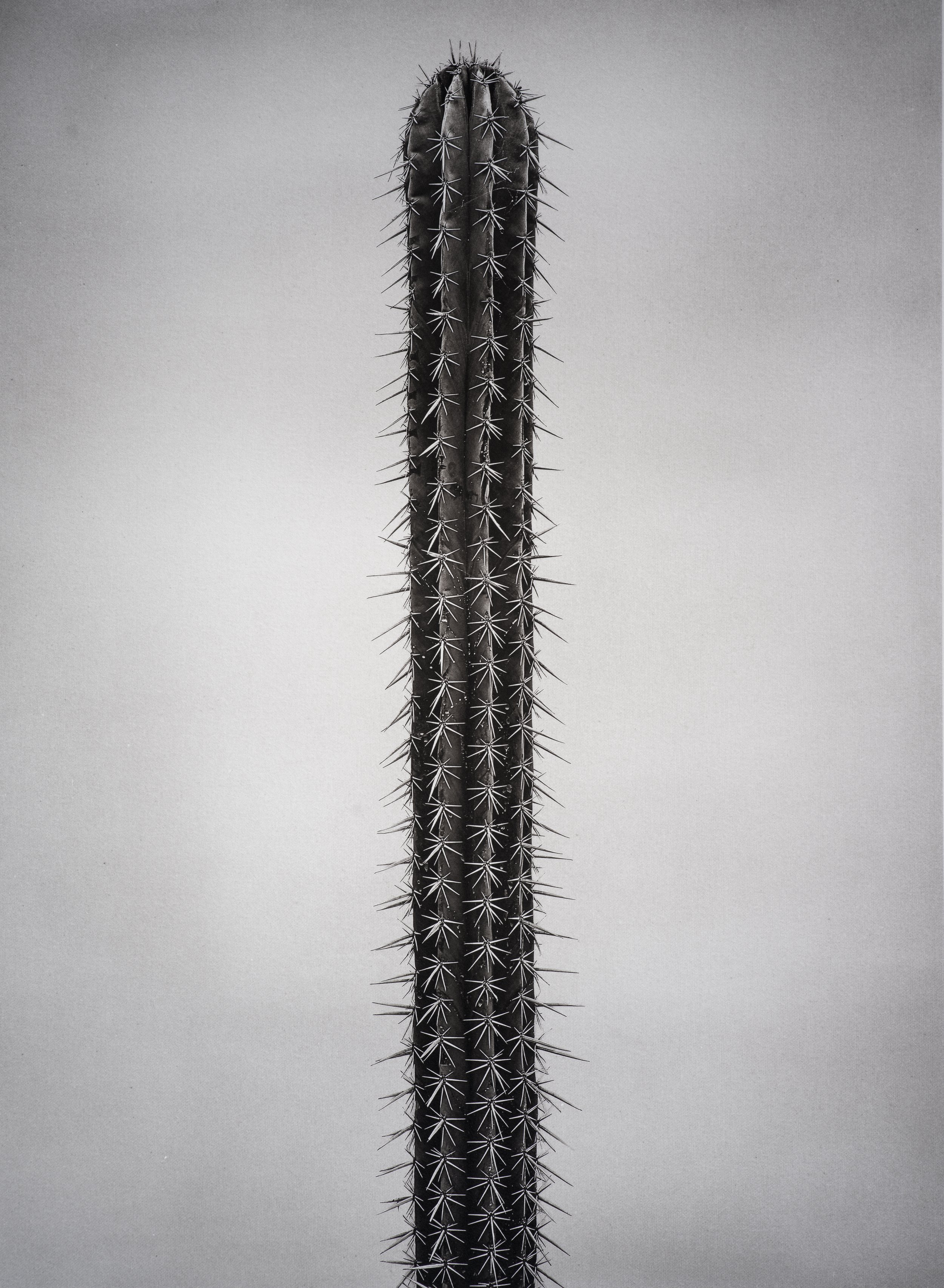 Jan C Schlegel  - Liebkosungen-10.jpg