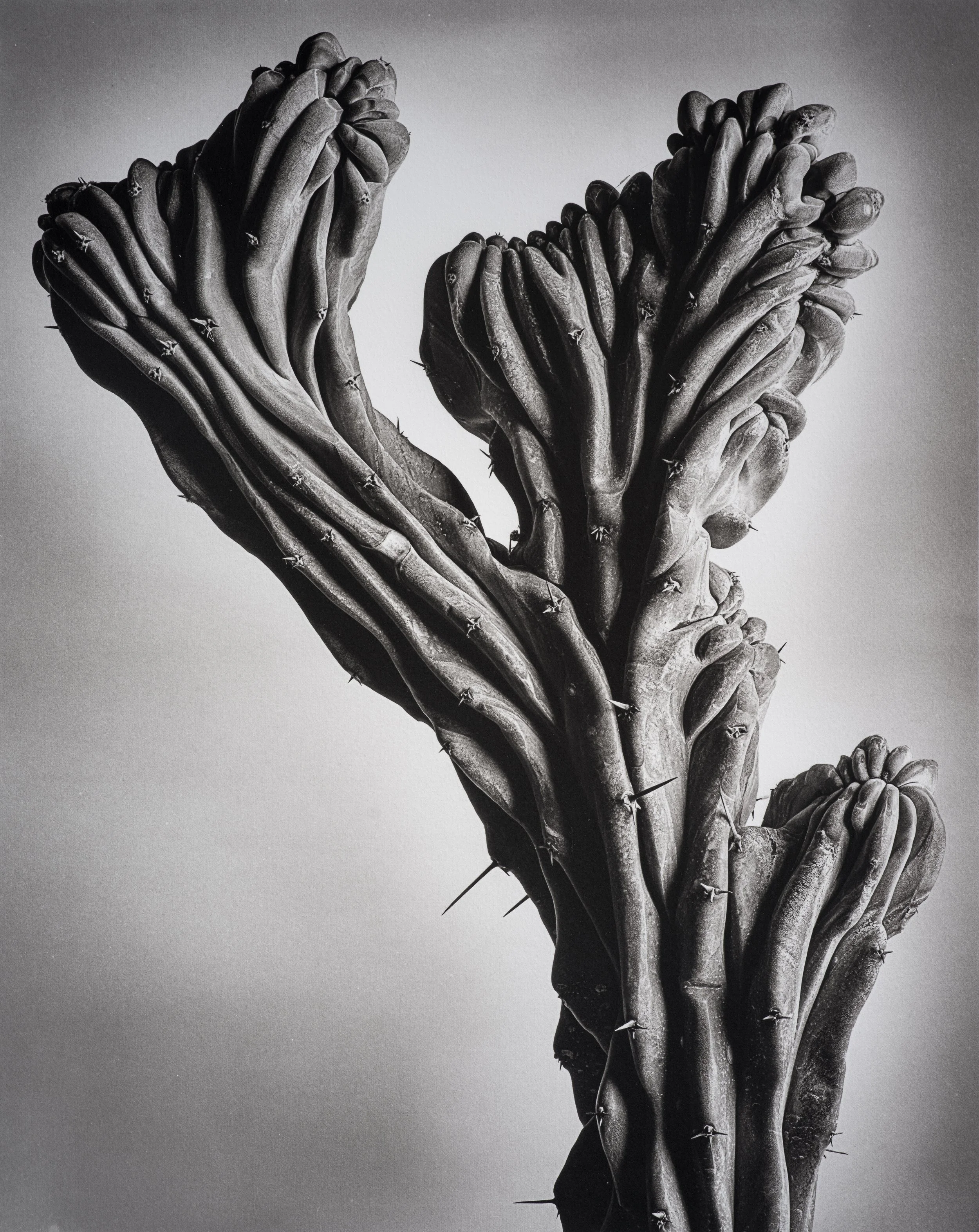 Jan C Schlegel  - Liebkosungen-06.jpg