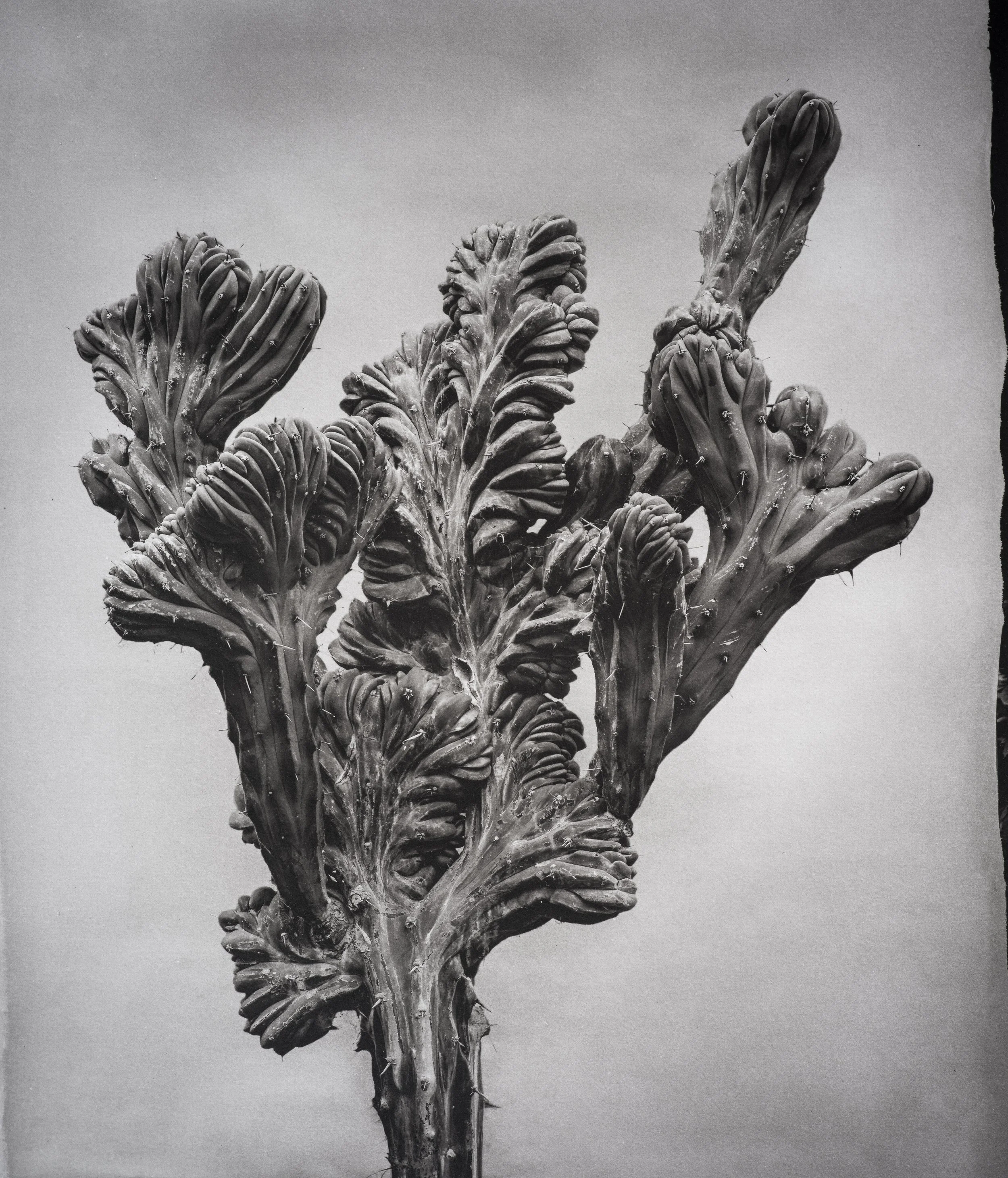 Jan C Schlegel  - Liebkosungen-05.jpg