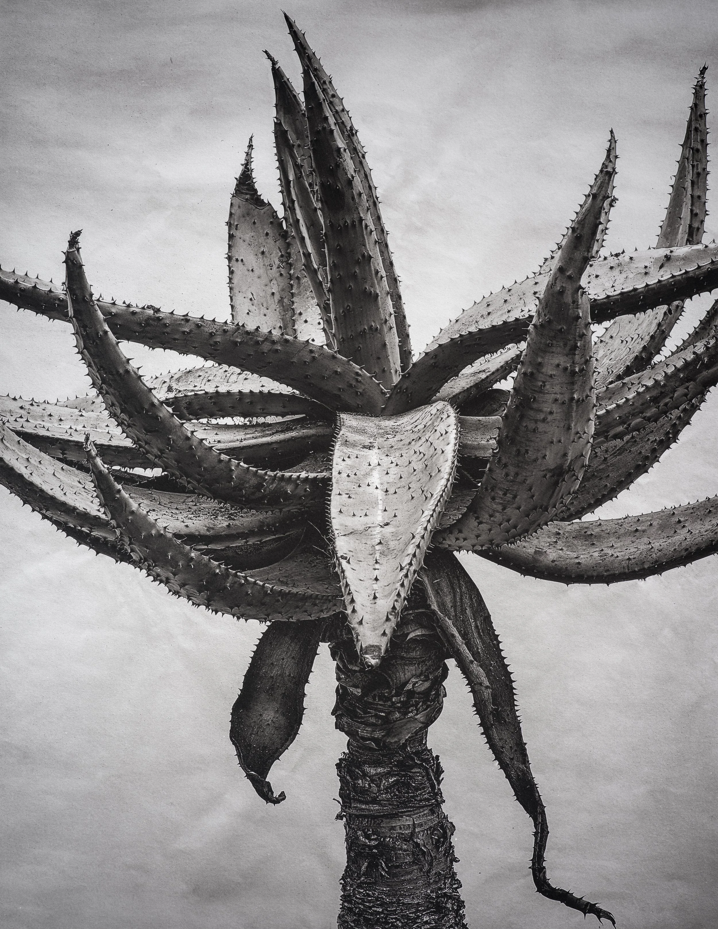 Jan C Schlegel  - Liebkosungen-08.jpg