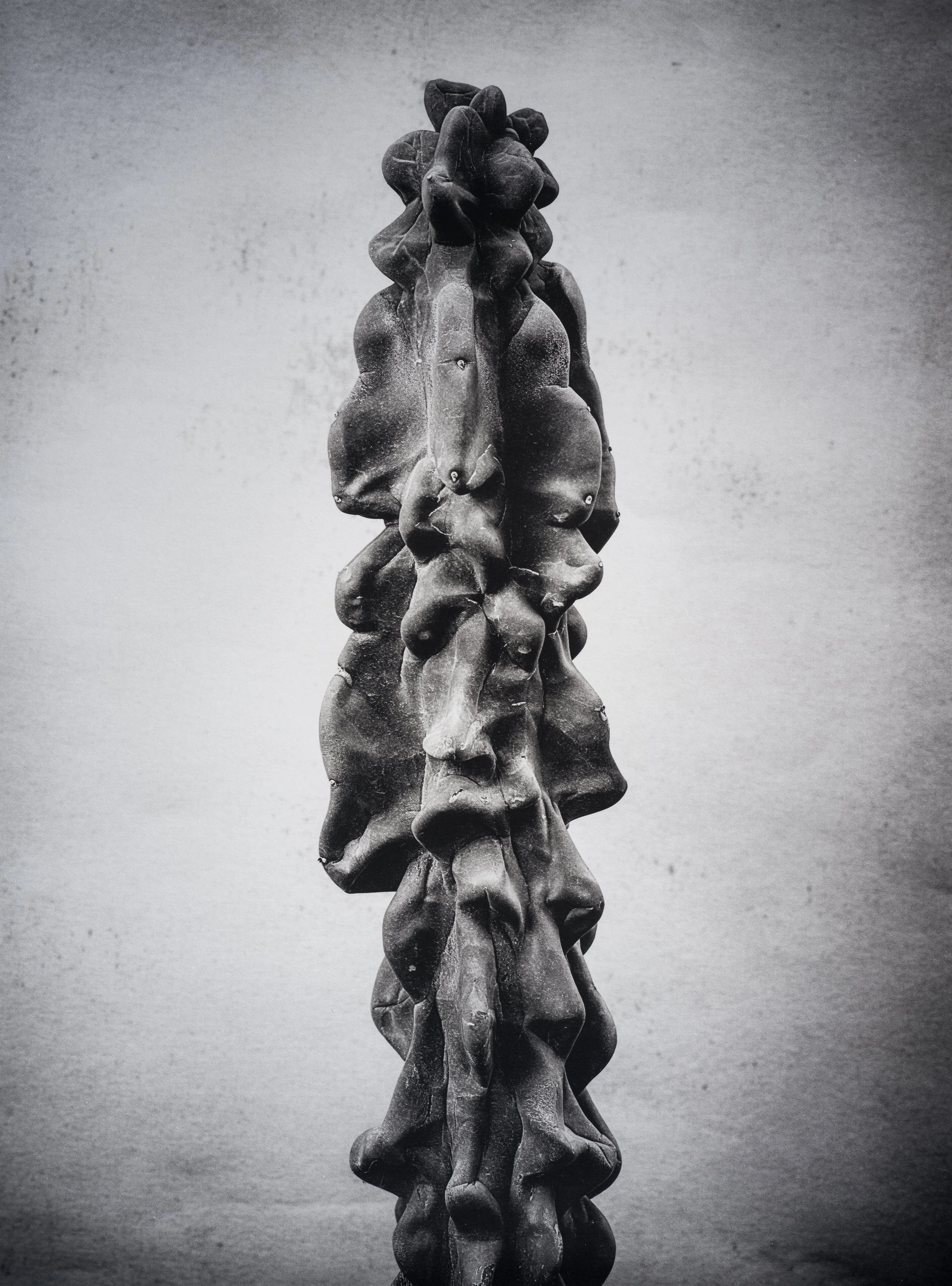 Jan C Schlegel  - Liebkosungen-02.jpg