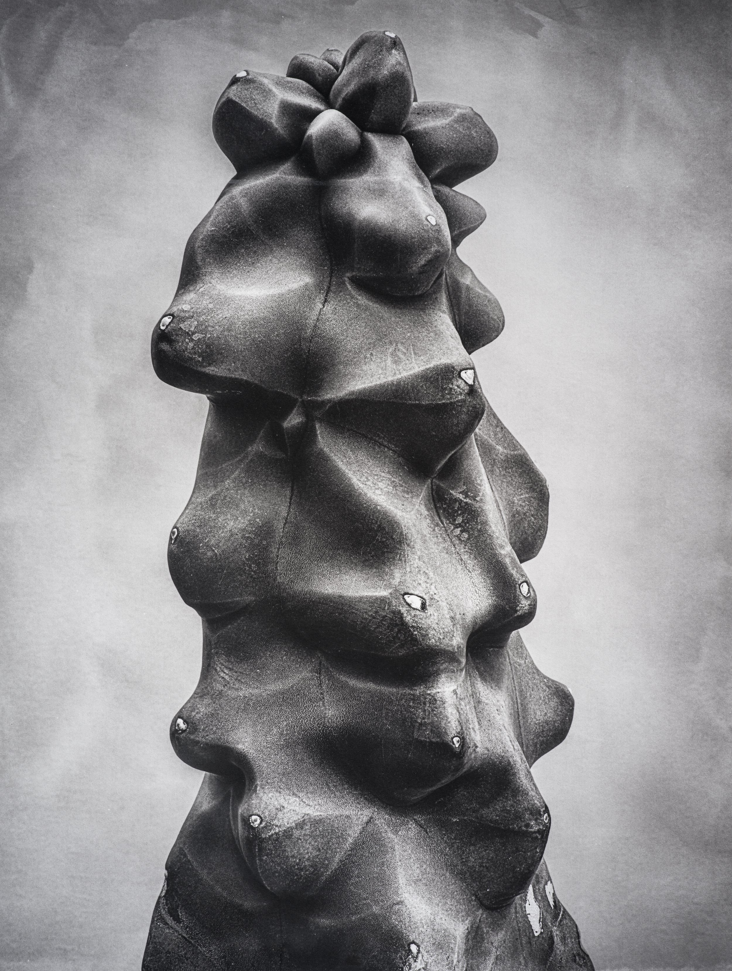 Jan C Schlegel  - Liebkosungen-04.jpg