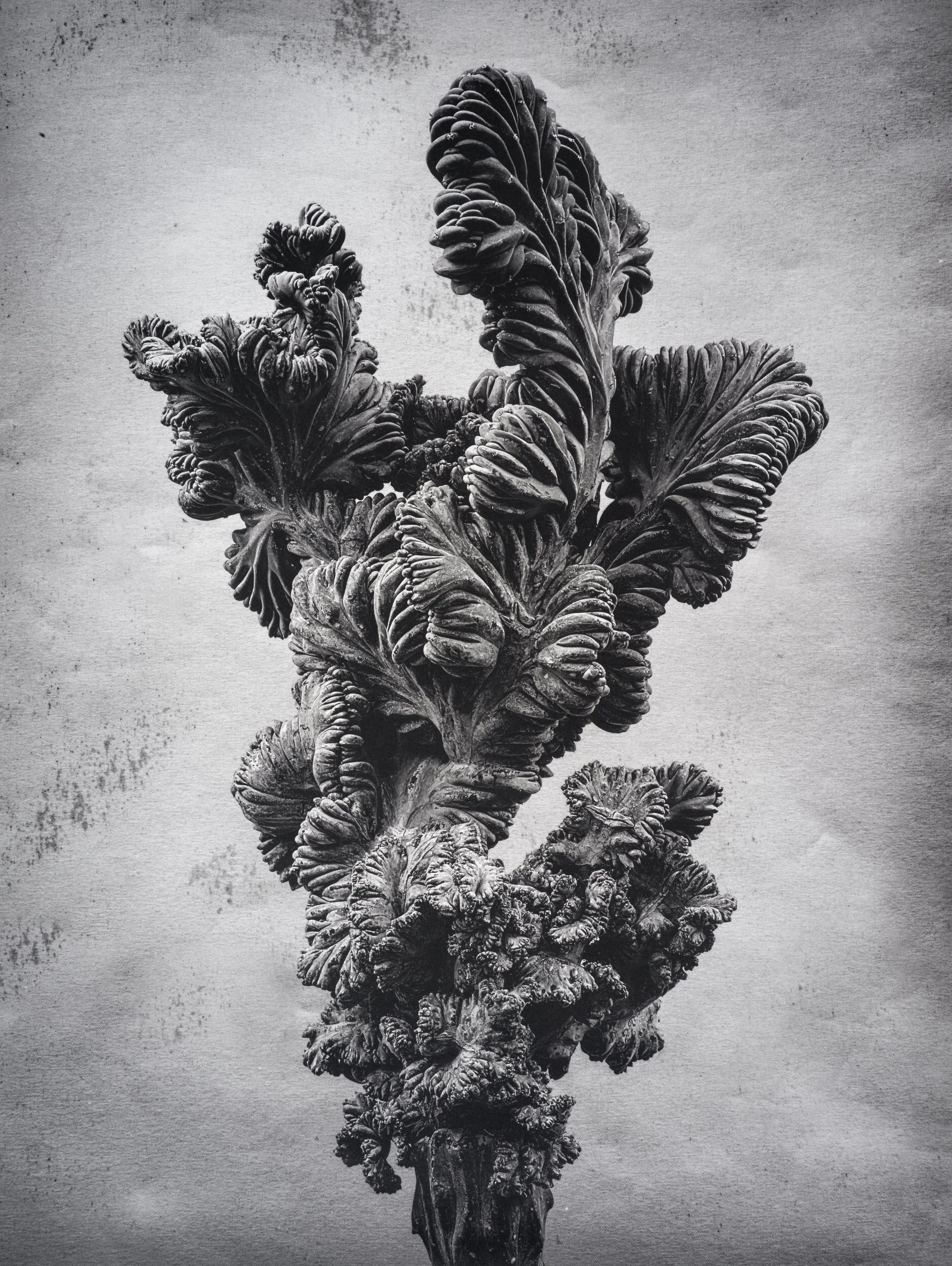 Jan C Schlegel  - Liebkosungen-03.jpg