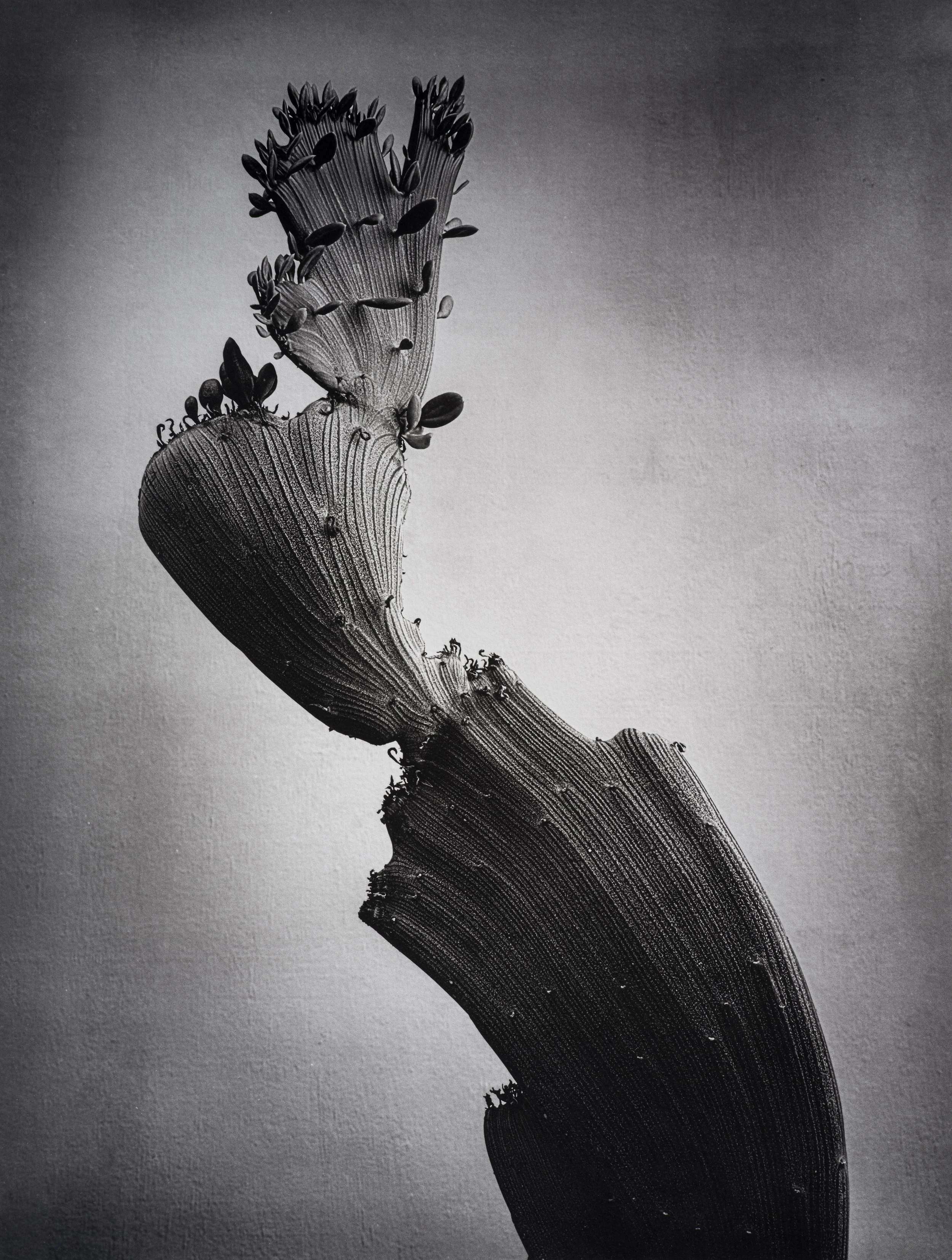 Jan C Schlegel  - Liebkosungen-01.jpg