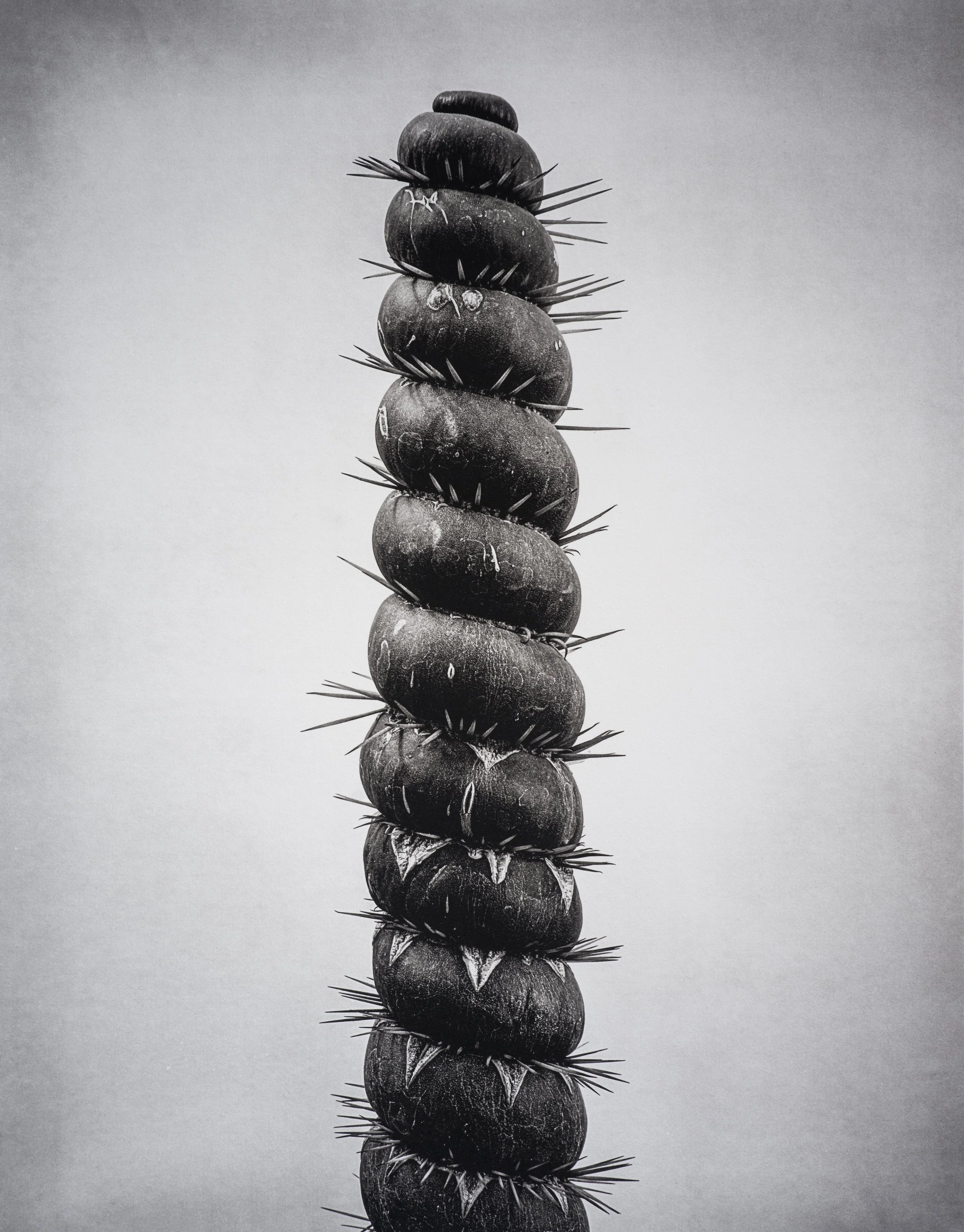 Jan C Schlegel  - Liebkosungen-12.jpg