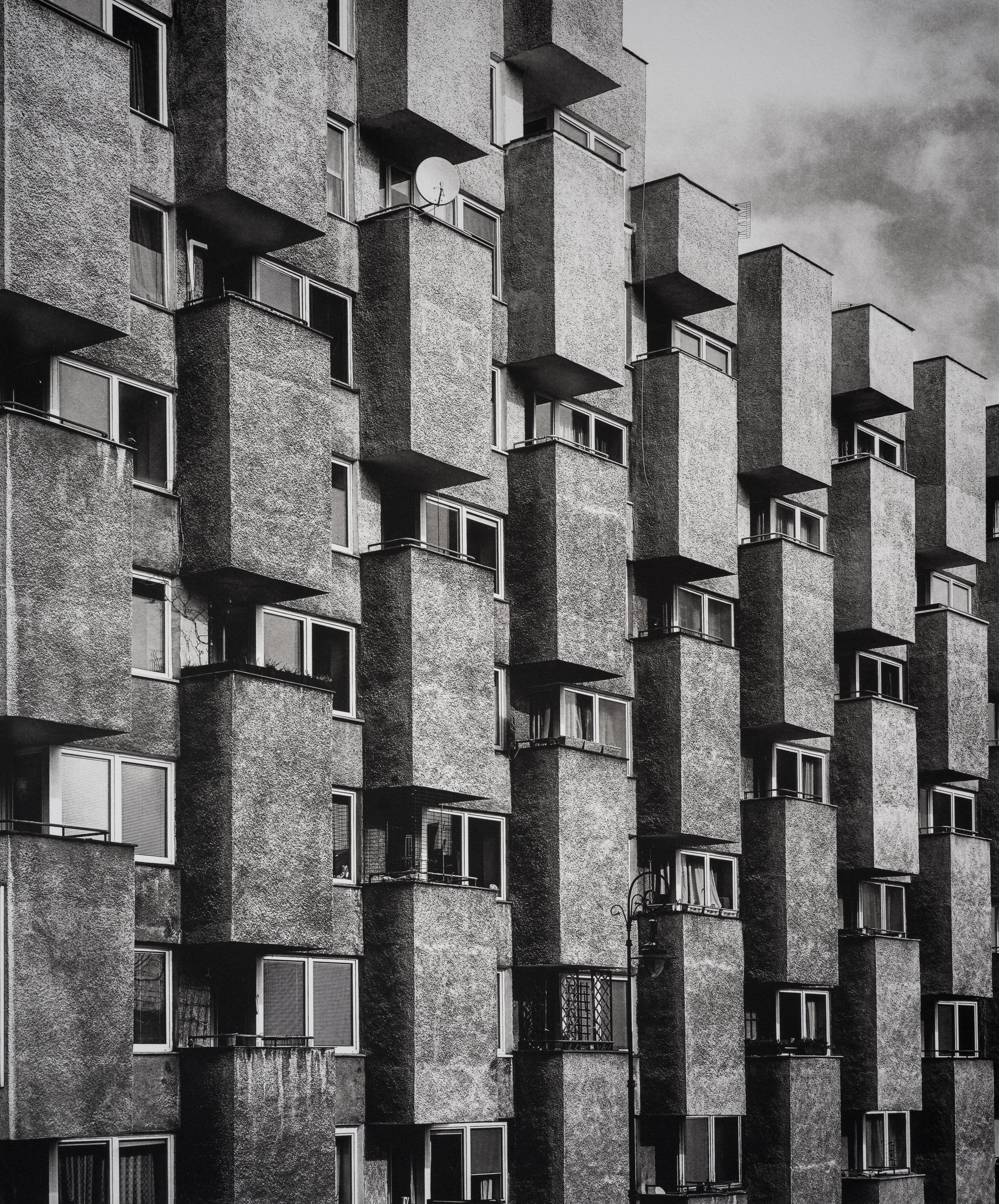 Jan C Schlegel  - Silent Giants-03.jpg