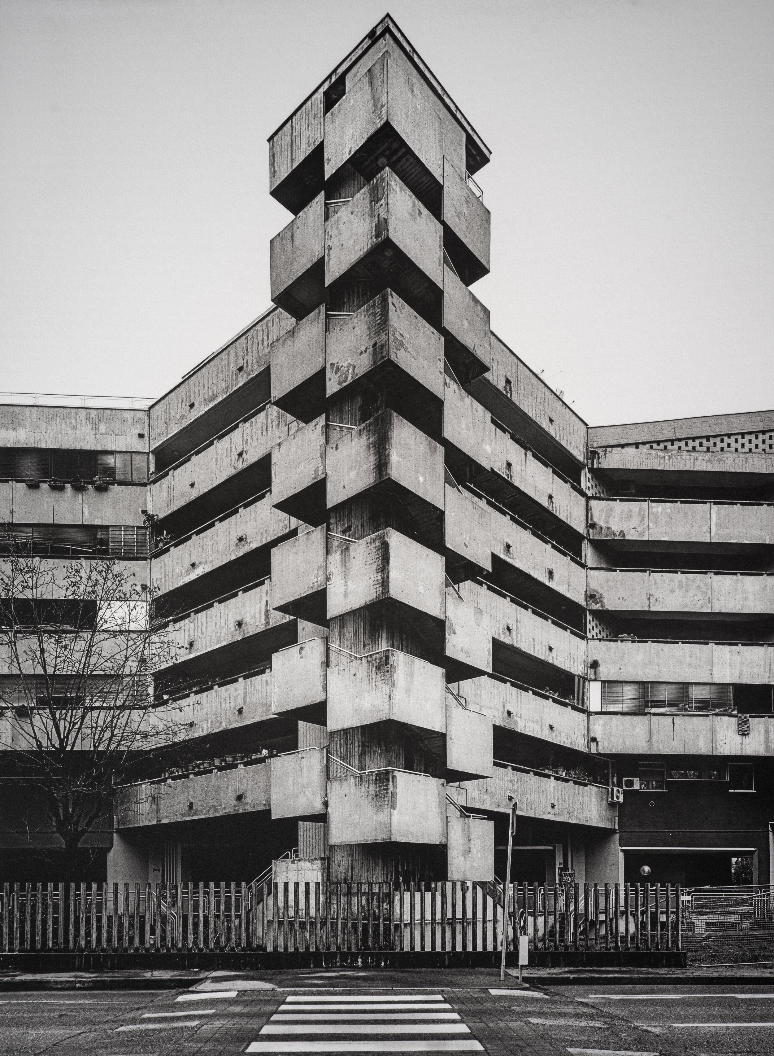 Jan C Schlegel  - Silent Giants-07.jpg