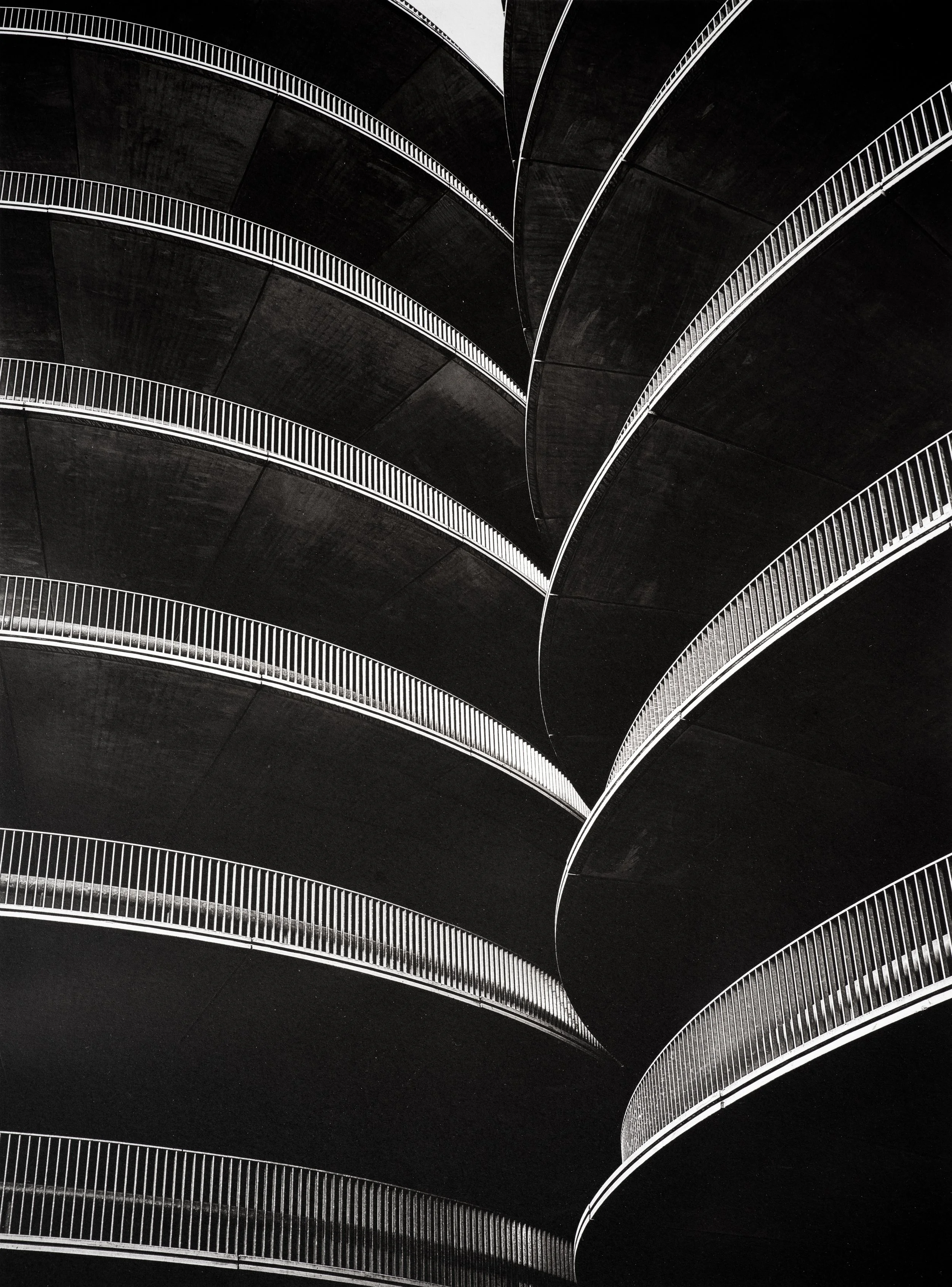 Jan C Schlegel  - Silent Giants-10.jpg