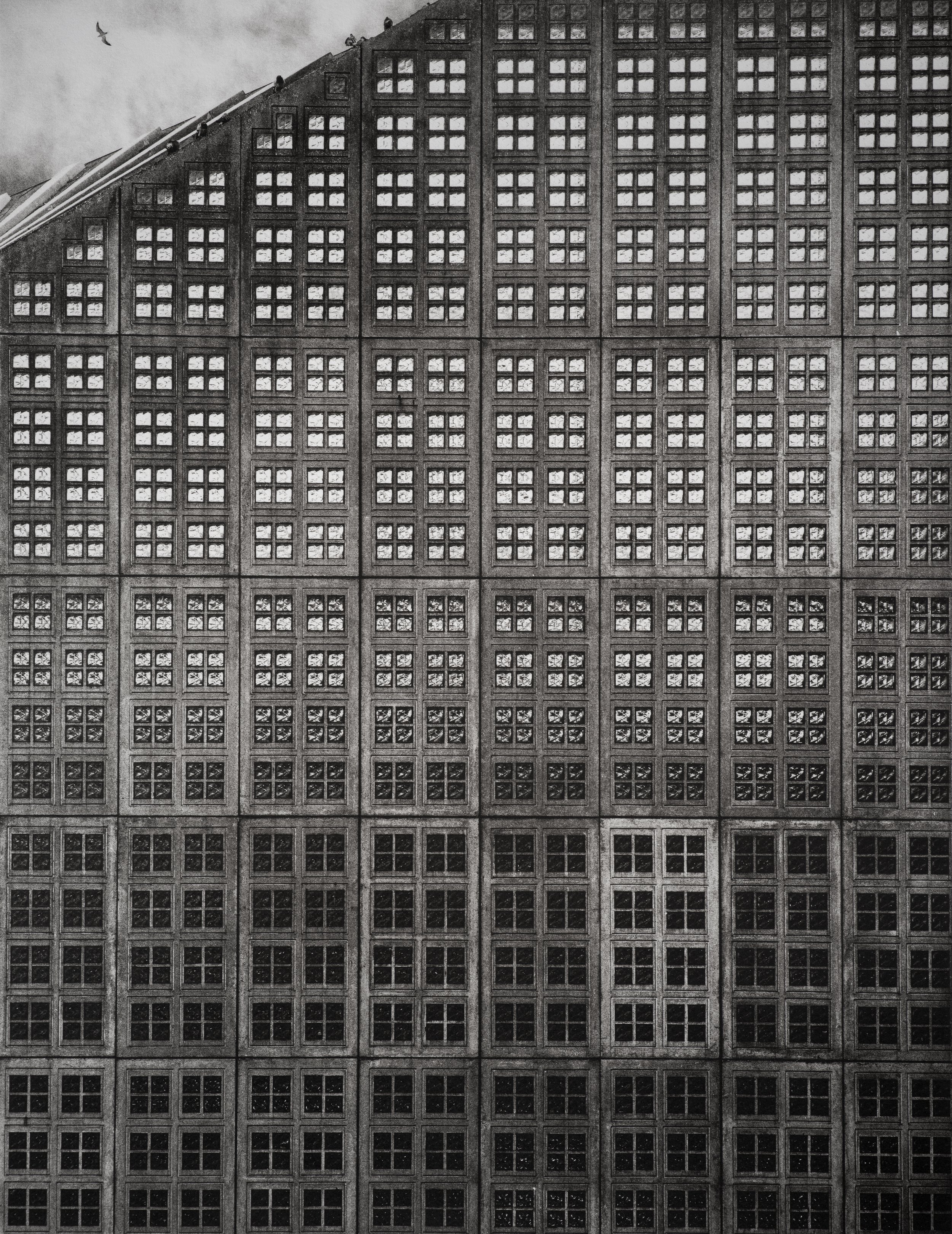 Jan C Schlegel  - Silent Giants-11.jpg