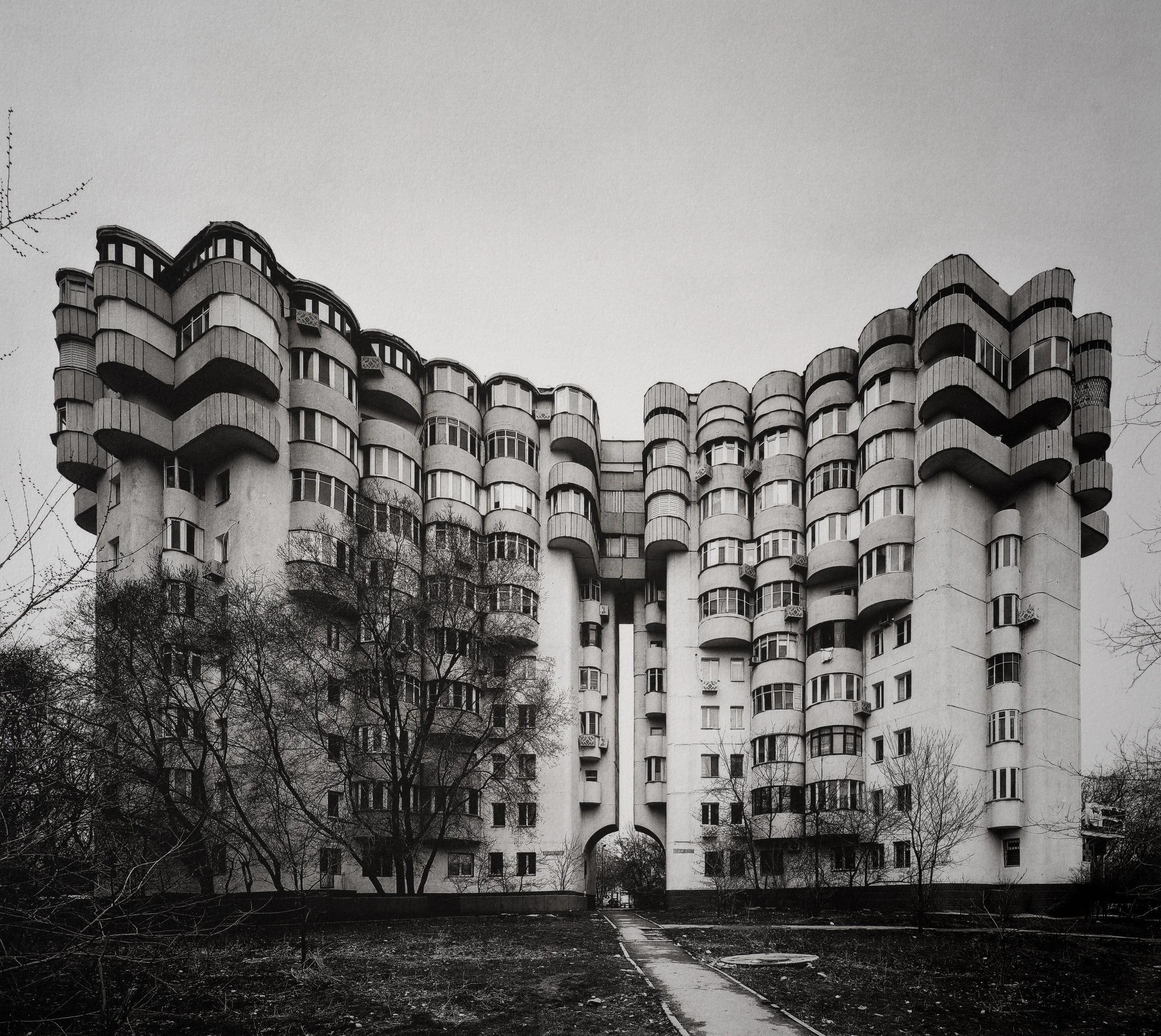 Jan C Schlegel  - Silent Giants-15.jpg