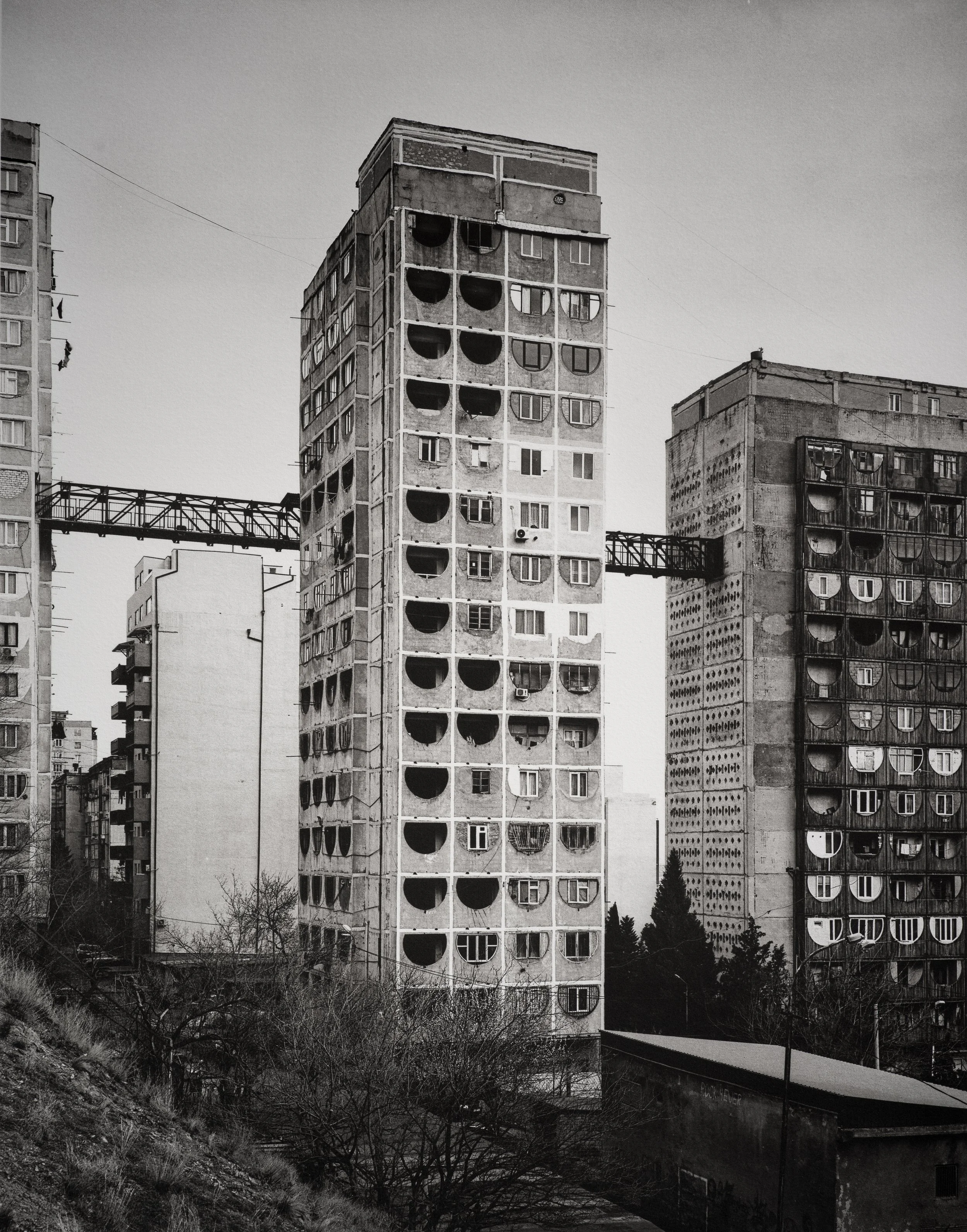 Jan C Schlegel  - Silent Giants-18.jpg