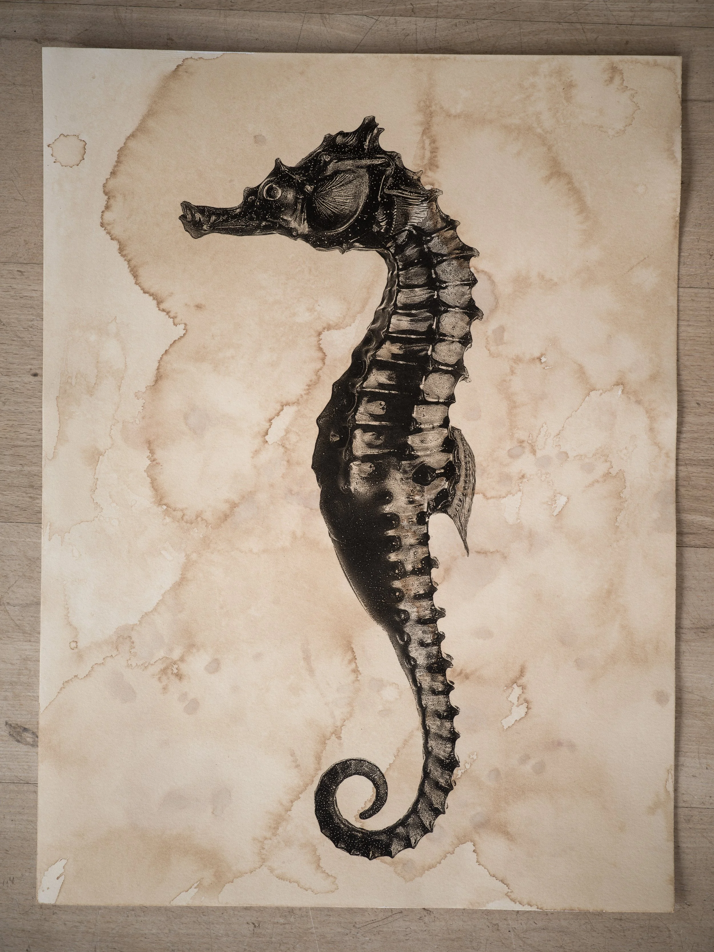 Jan C Schlegel - shop-1.jpeg (Copy)