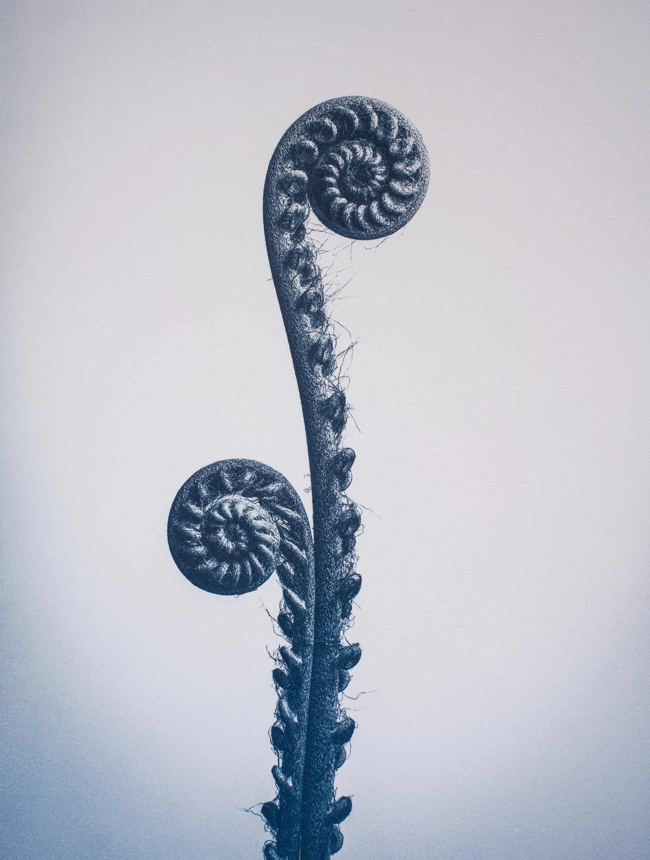 Unfurling - Portraits of Becoming