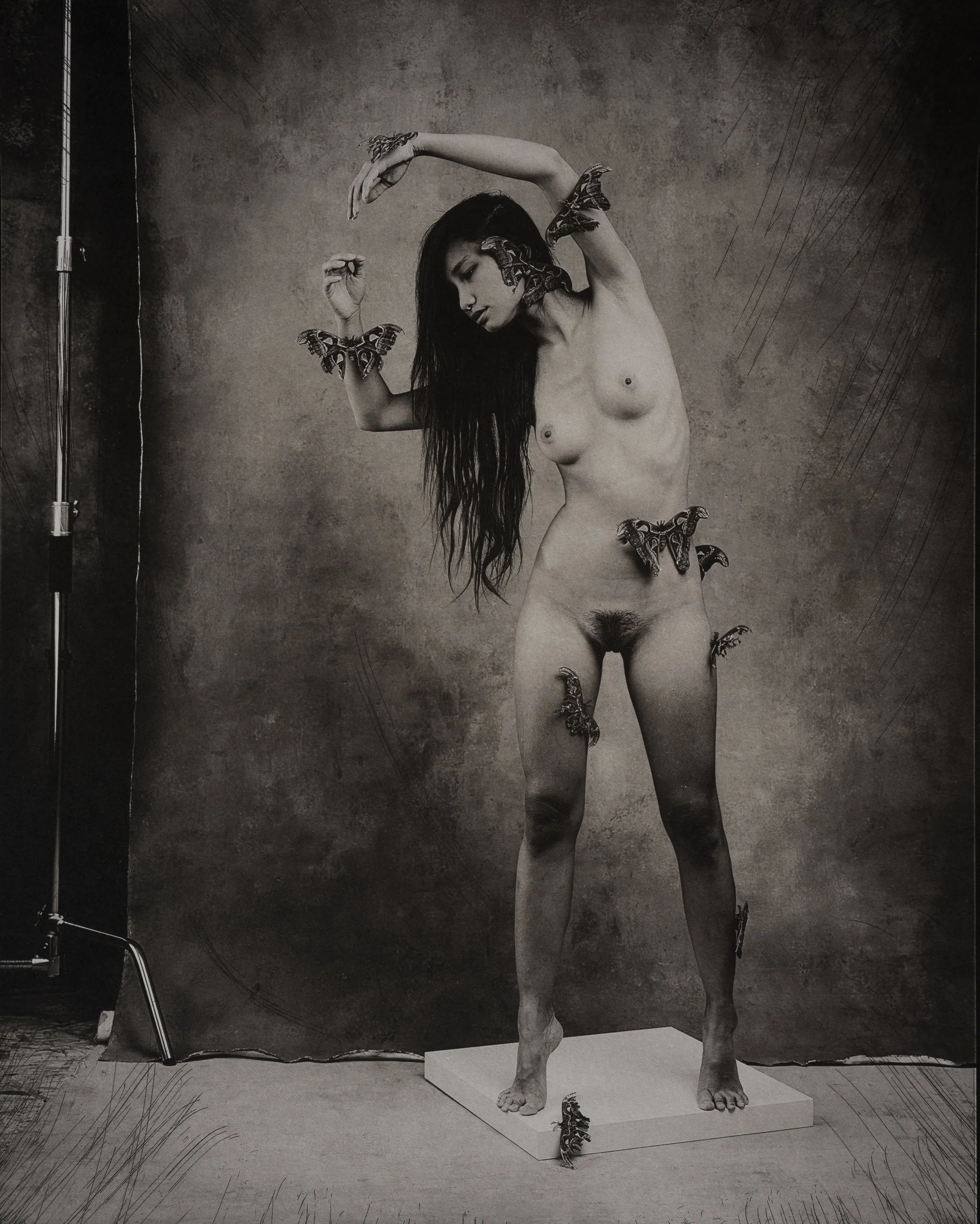 Jan C Schlegel  - Interruption-6.jpg