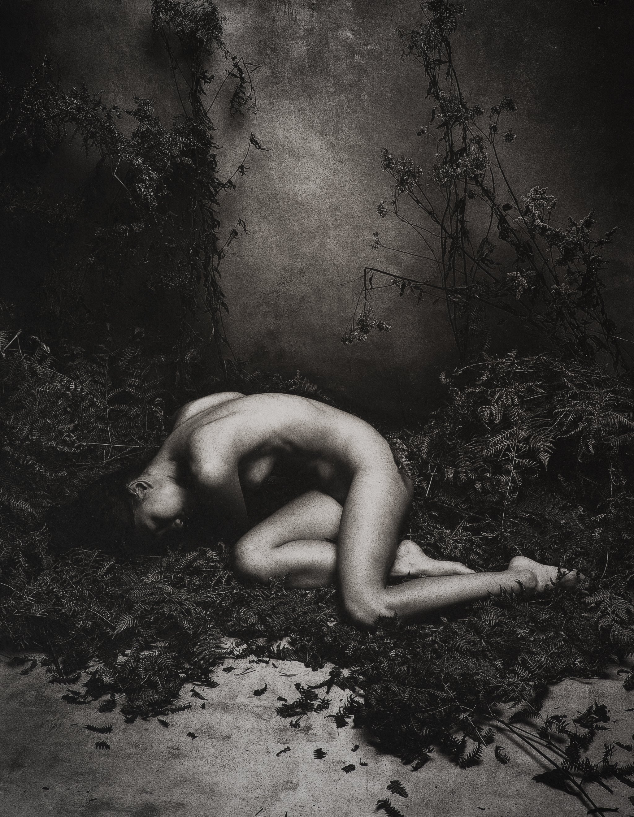 Jan C Schlegel  - Interruption-3.jpg