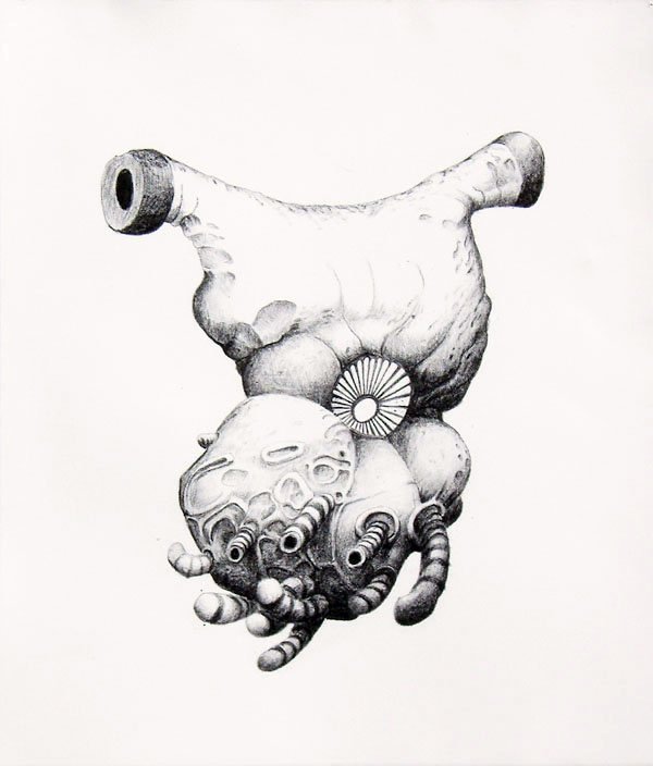 CYCLOGIQUE (SWEET VELVET MUSCLE)