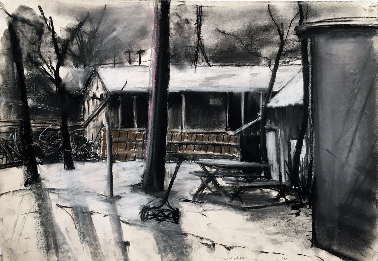 BACKYARD ON BOWERY, (WINTER), IOWA CITY,