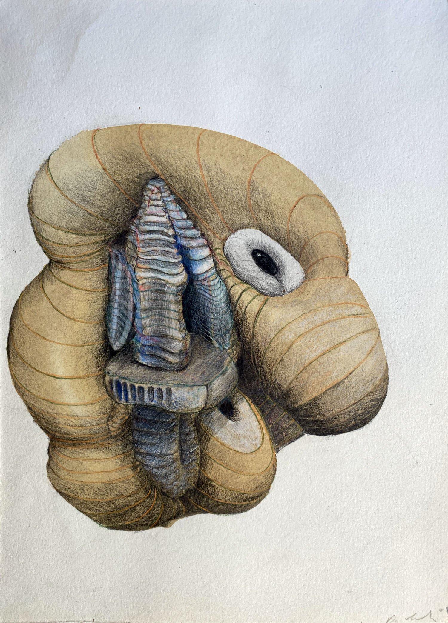 CONJOINED