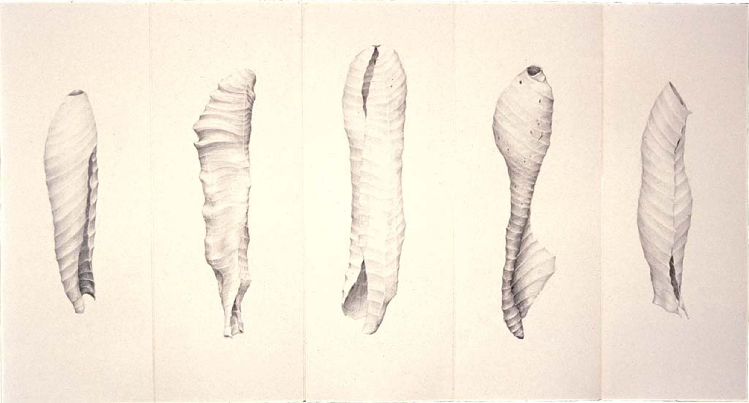 FIVE CASINGS