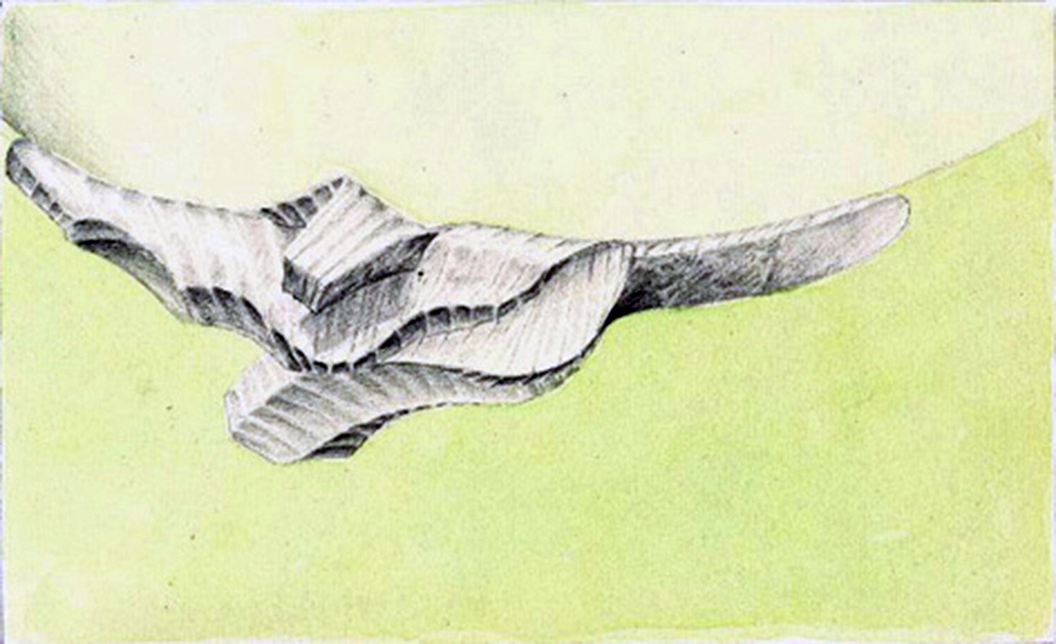 N-5