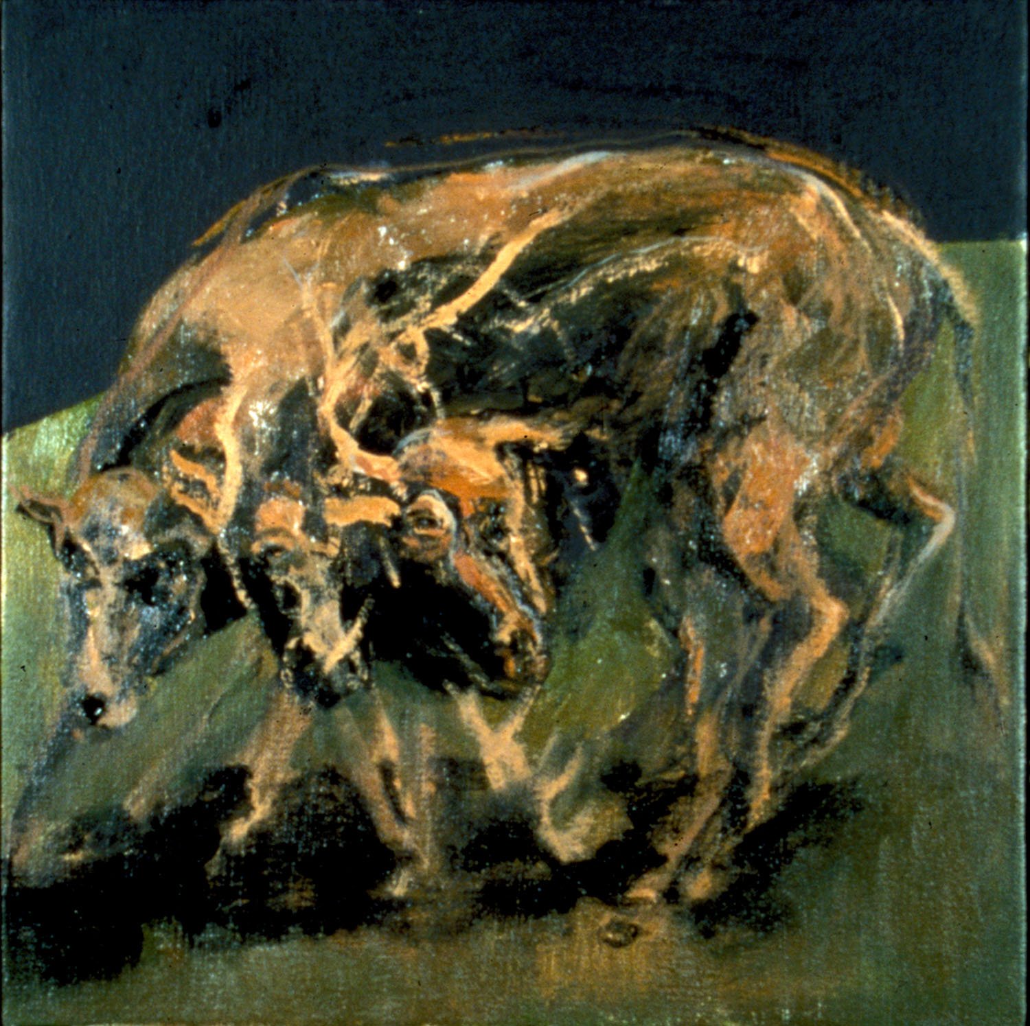 M. DORSKY'S DOG