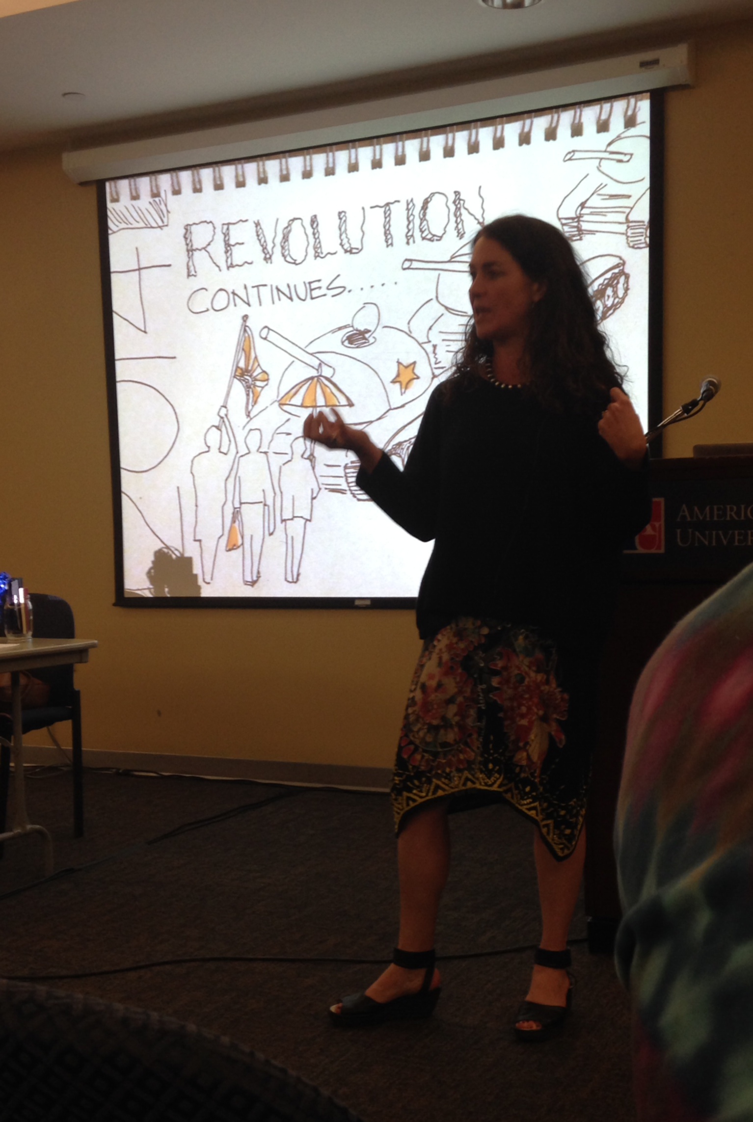 American University talk, October 2014