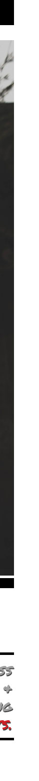 May-6-Email_08.jpg