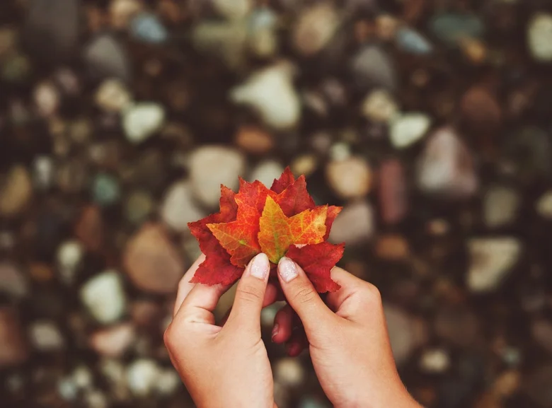 Announcing CoaH's 2014 Fall Retreat