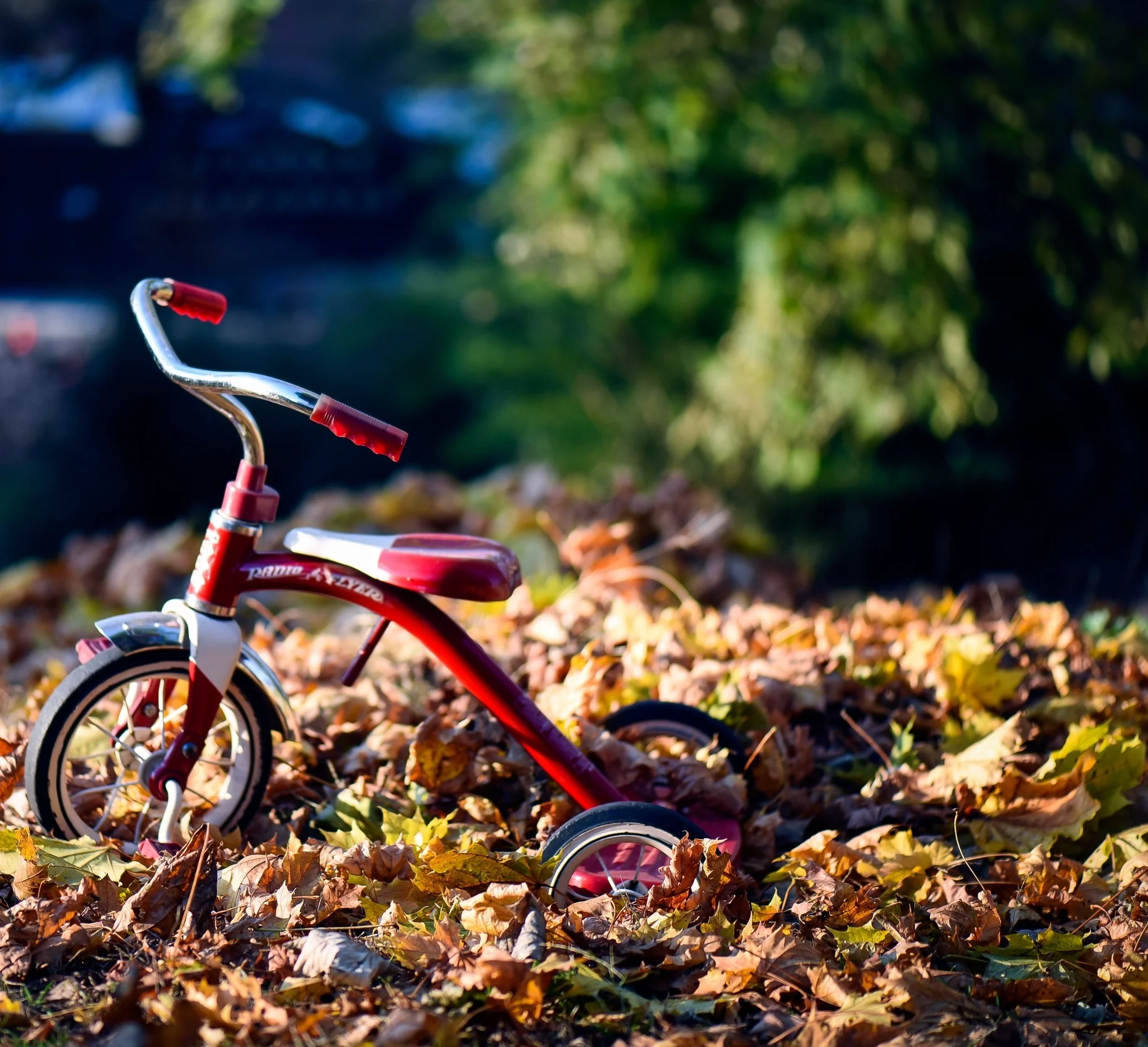 This week in CoaH Kids - June 26th, 2016