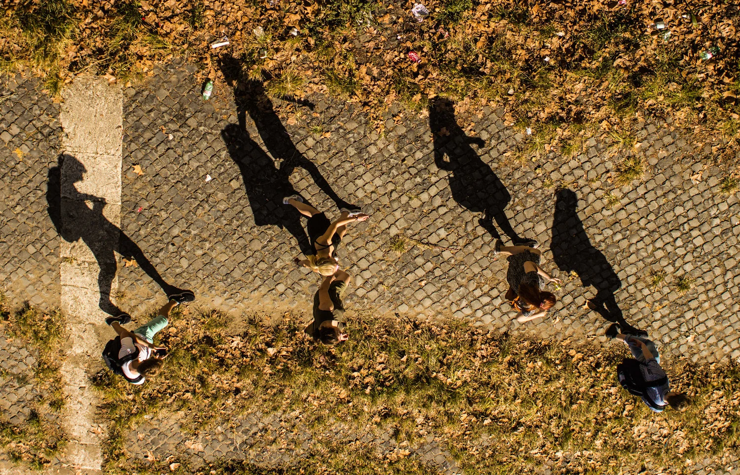 college-cover.jpg