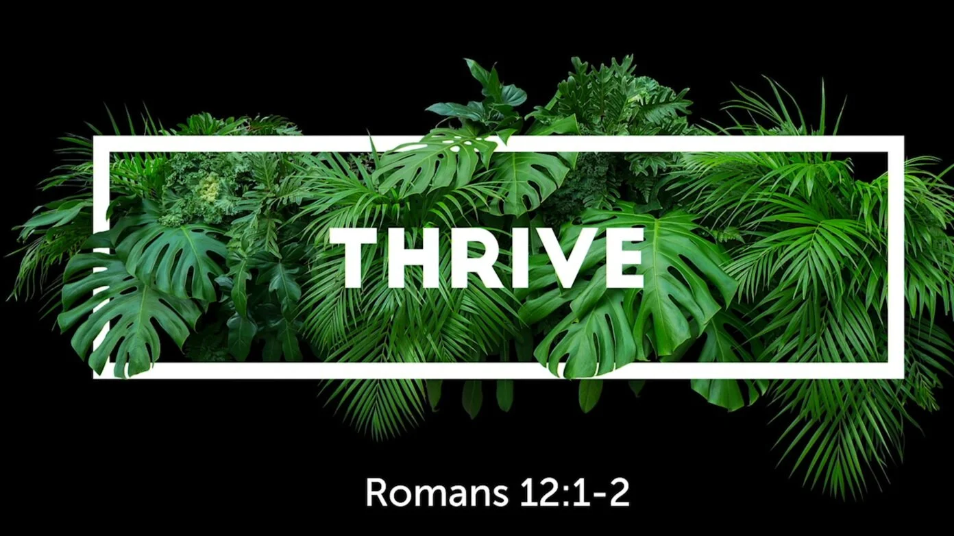 Life as Worship (Rom 12:1-2)