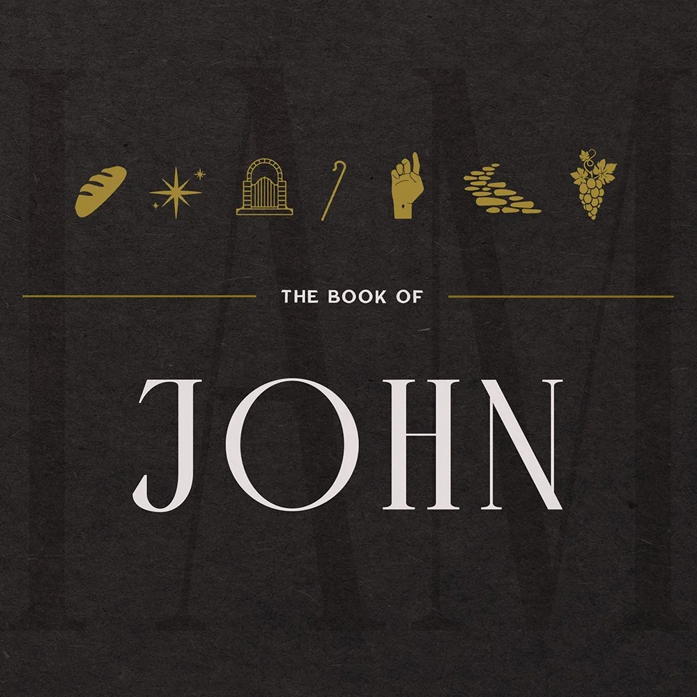 The Book of John - John 1:31-35
