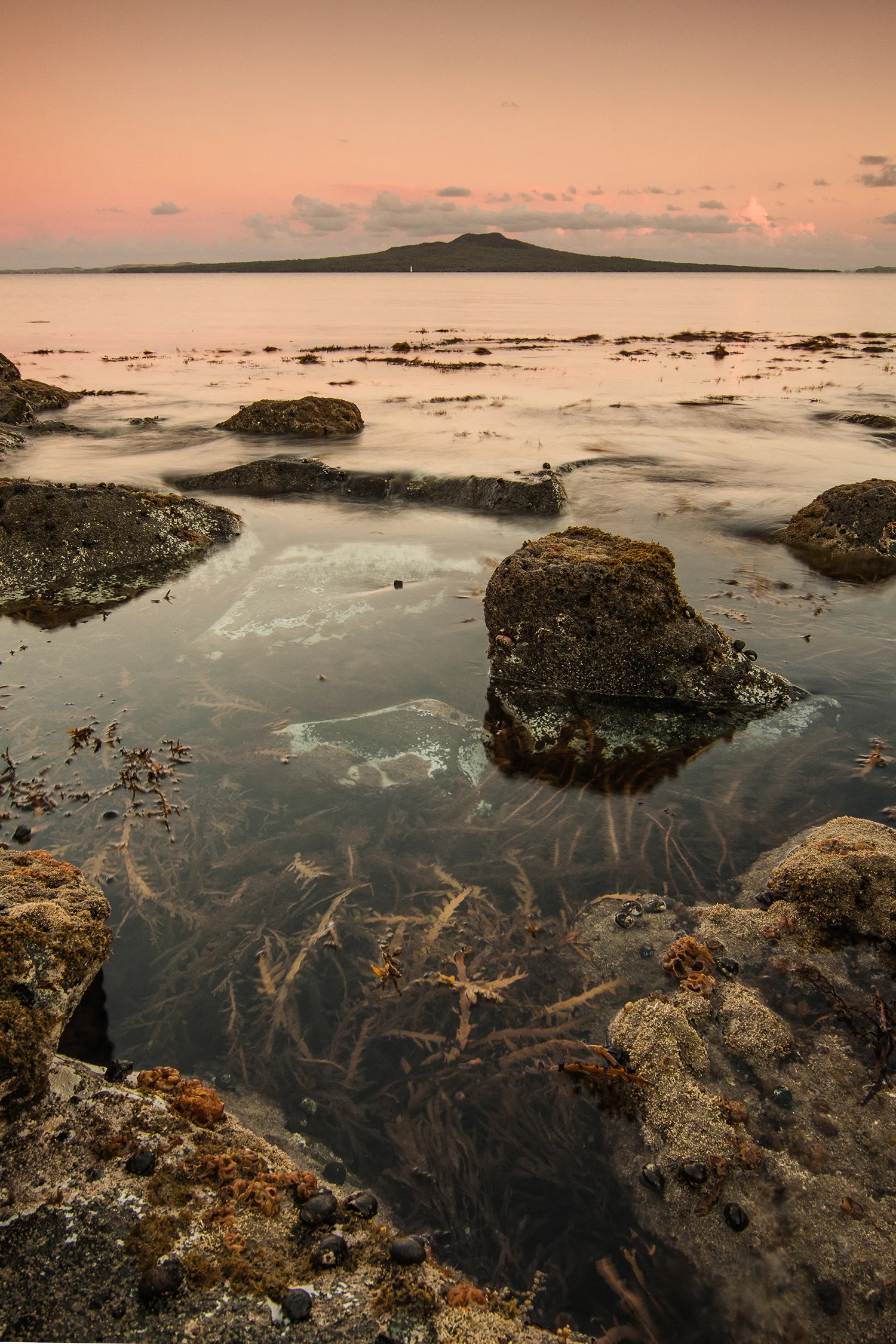 20140109-1500kelpcove.jpg